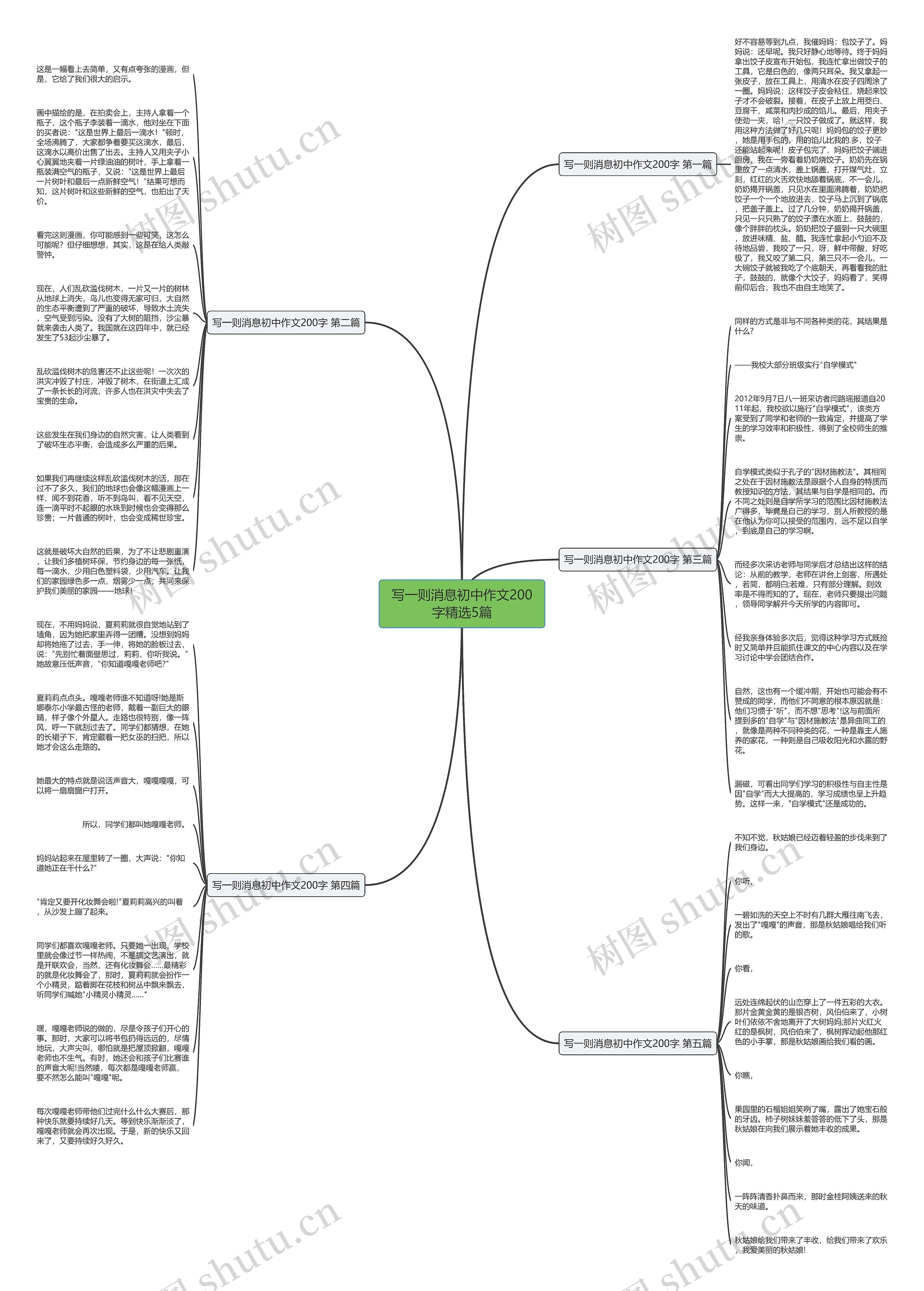 写一则消息初中作文200字精选5篇思维导图