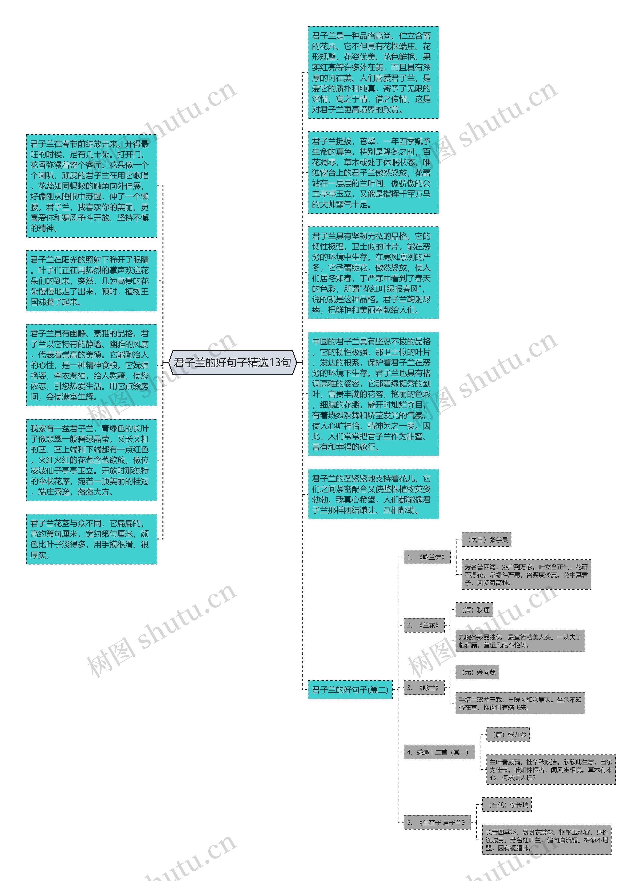 君子兰的好句子精选13句思维导图