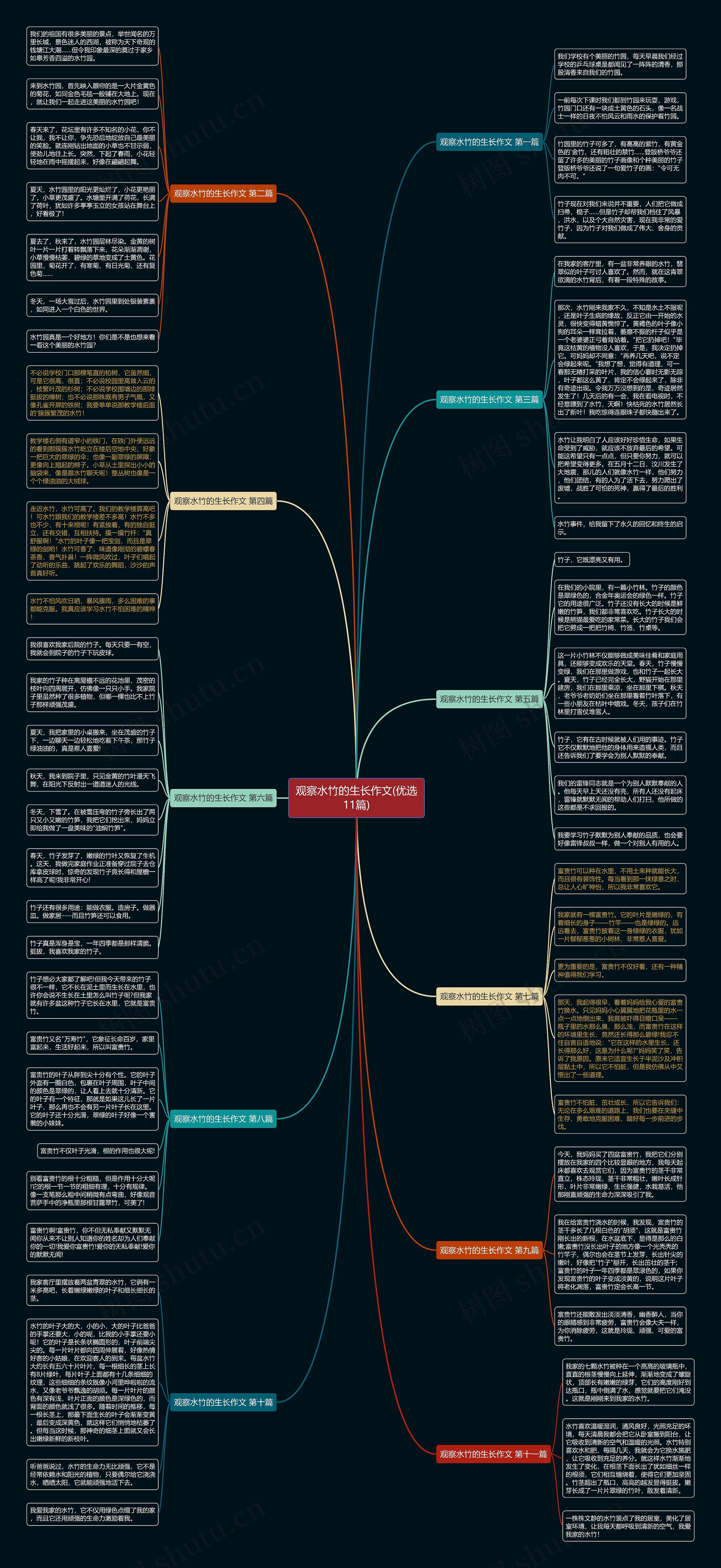 观察水竹的生长作文(优选11篇)思维导图