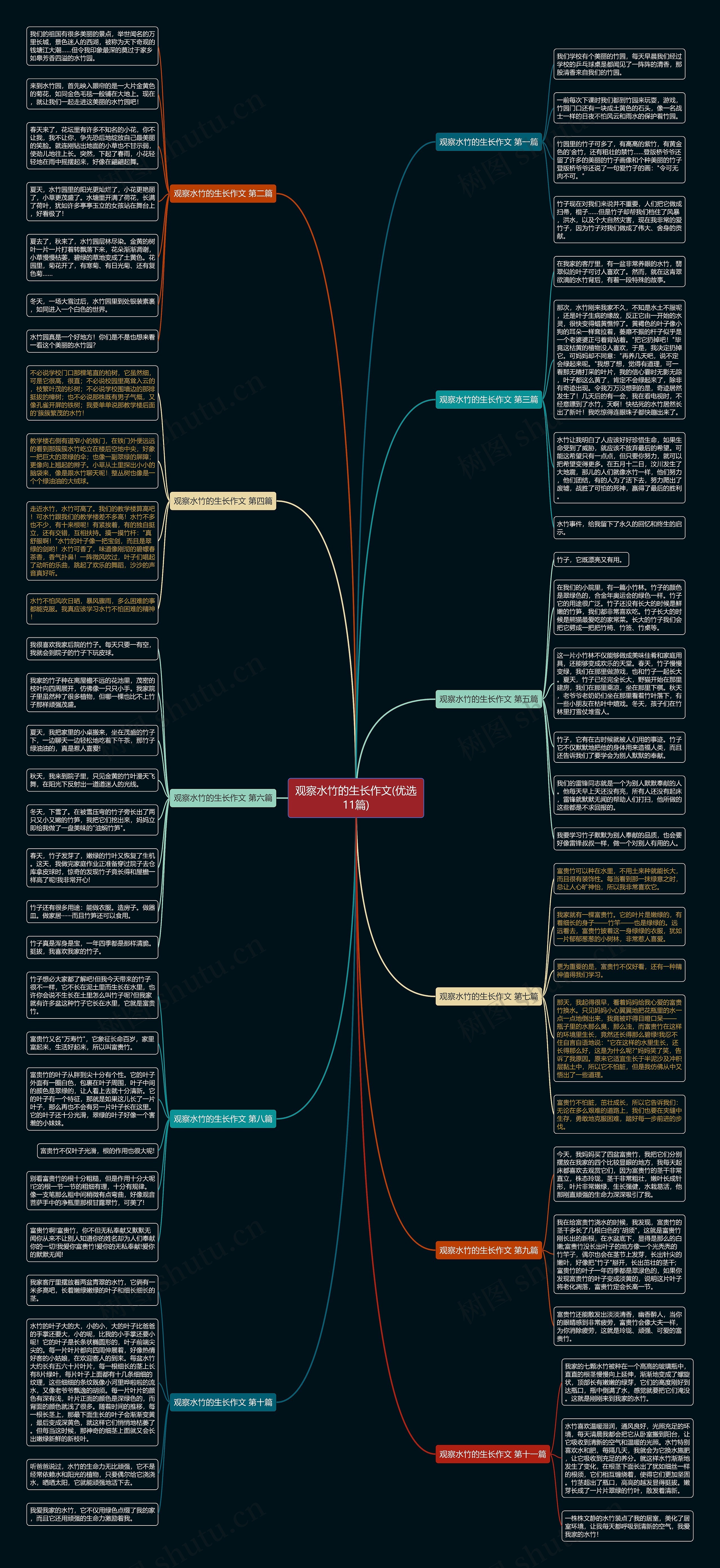 观察水竹的生长作文(优选11篇) 观察水竹的生长作文(优选11篇)