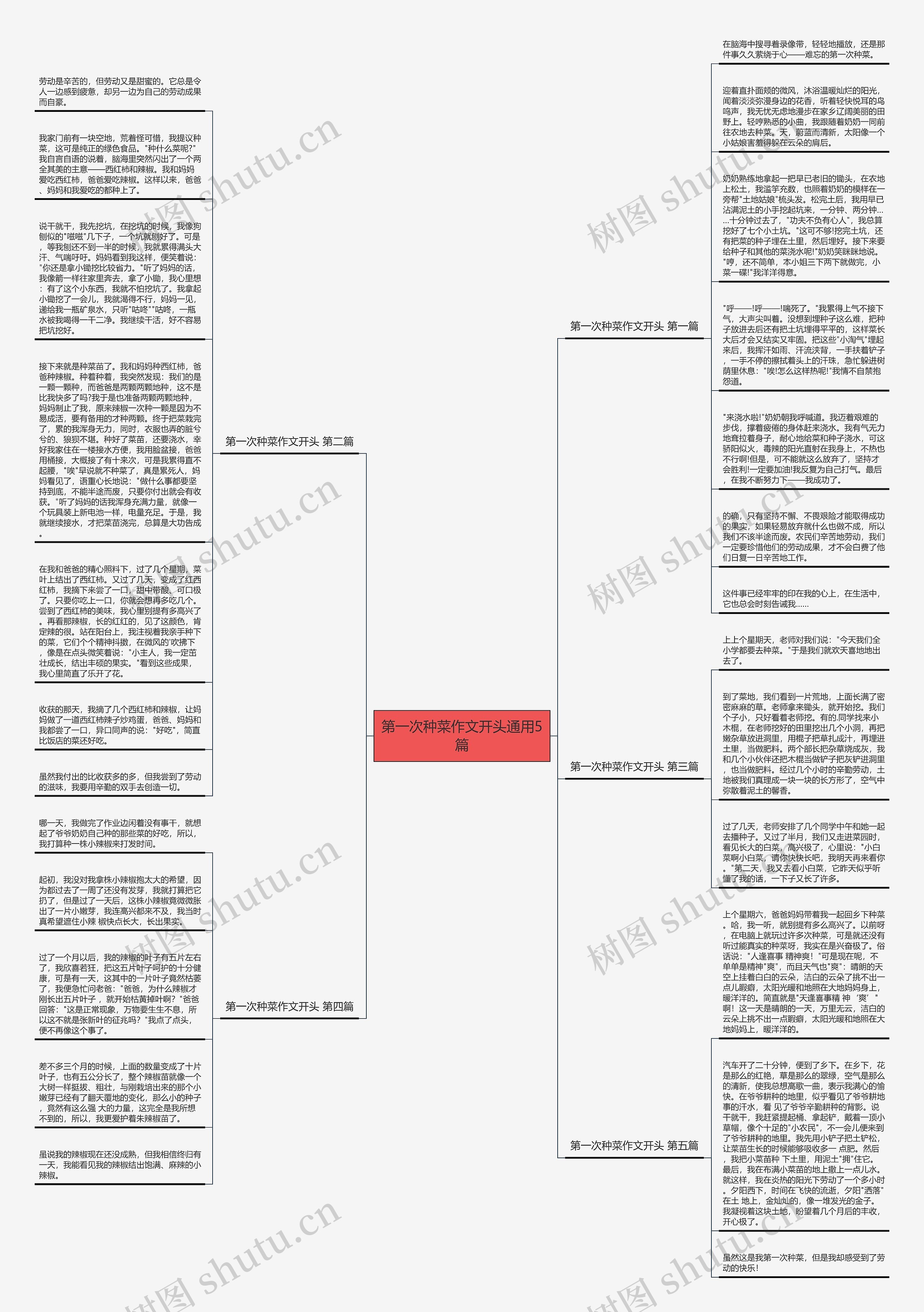 第一次种菜作文开头通用5篇思维导图