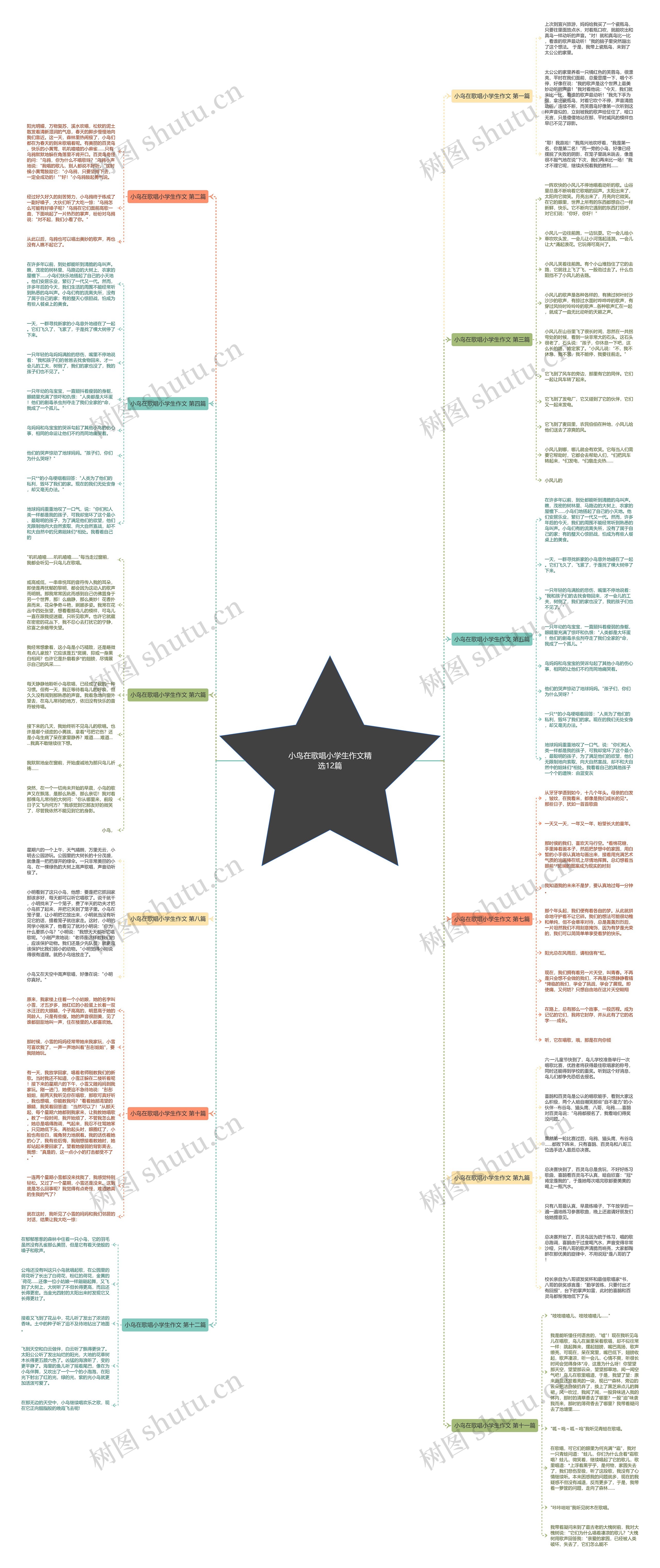 小鸟在歌唱小学生作文精选12篇思维导图