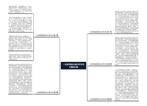 一处新闻读后感500字作文精选5篇