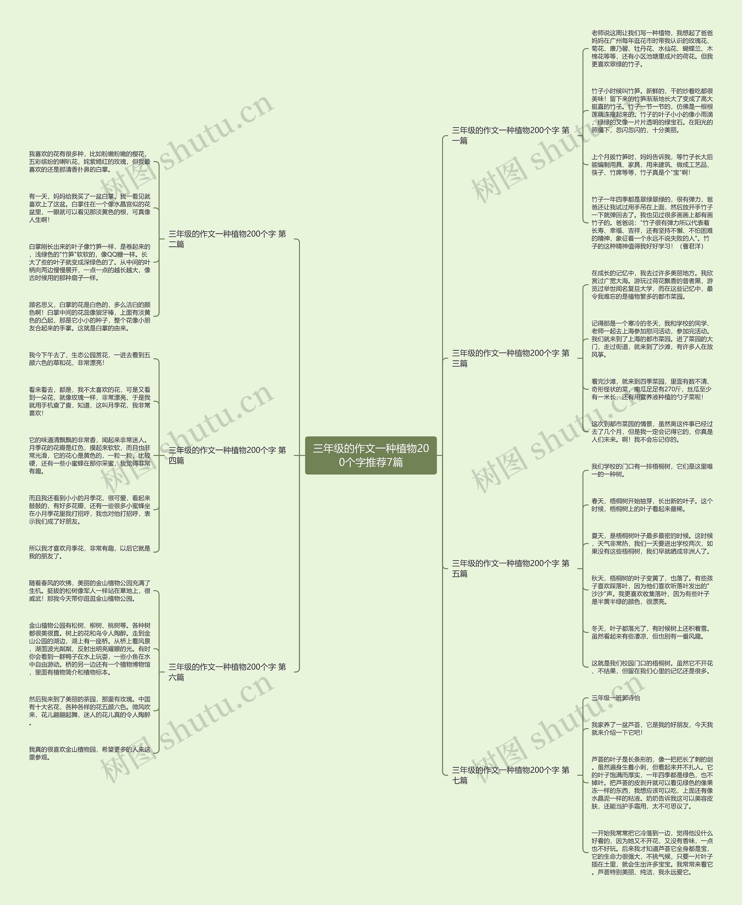 三年级的作文一种植物200个字推荐7篇思维导图
