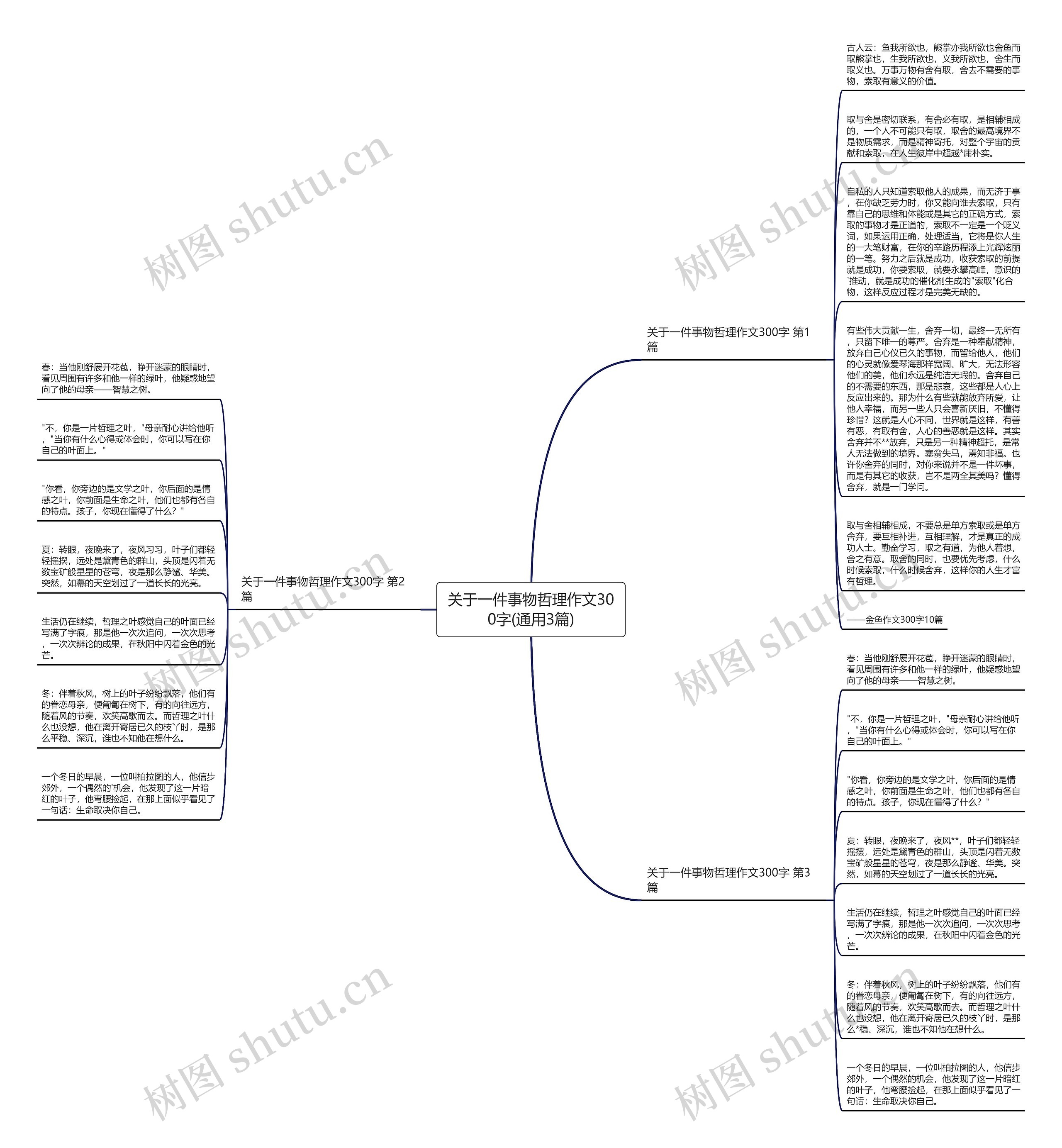 关于一件事物哲理作文300字(通用3篇)思维导图