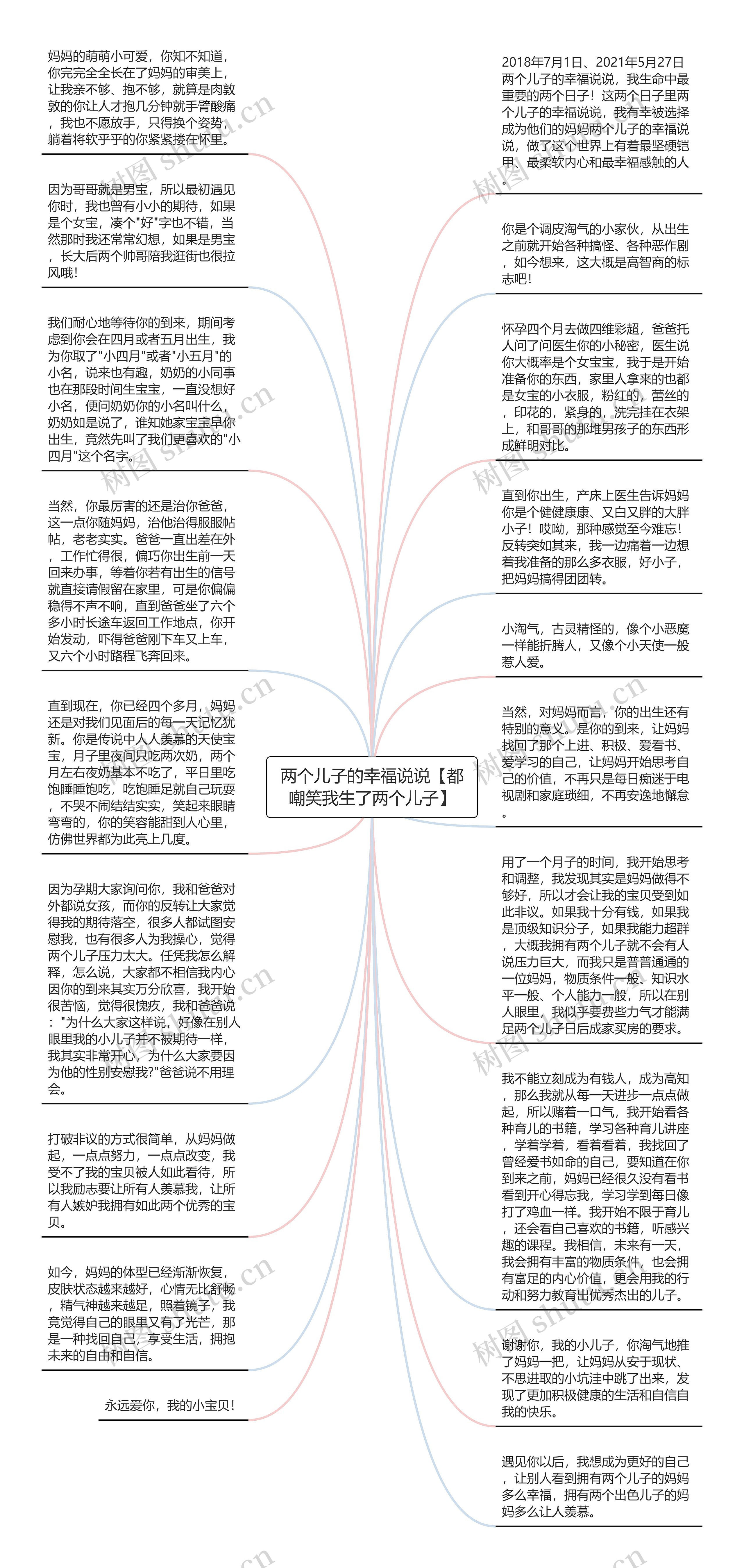 两个儿子的幸福说说【都嘲笑我生了两个儿子】思维导图