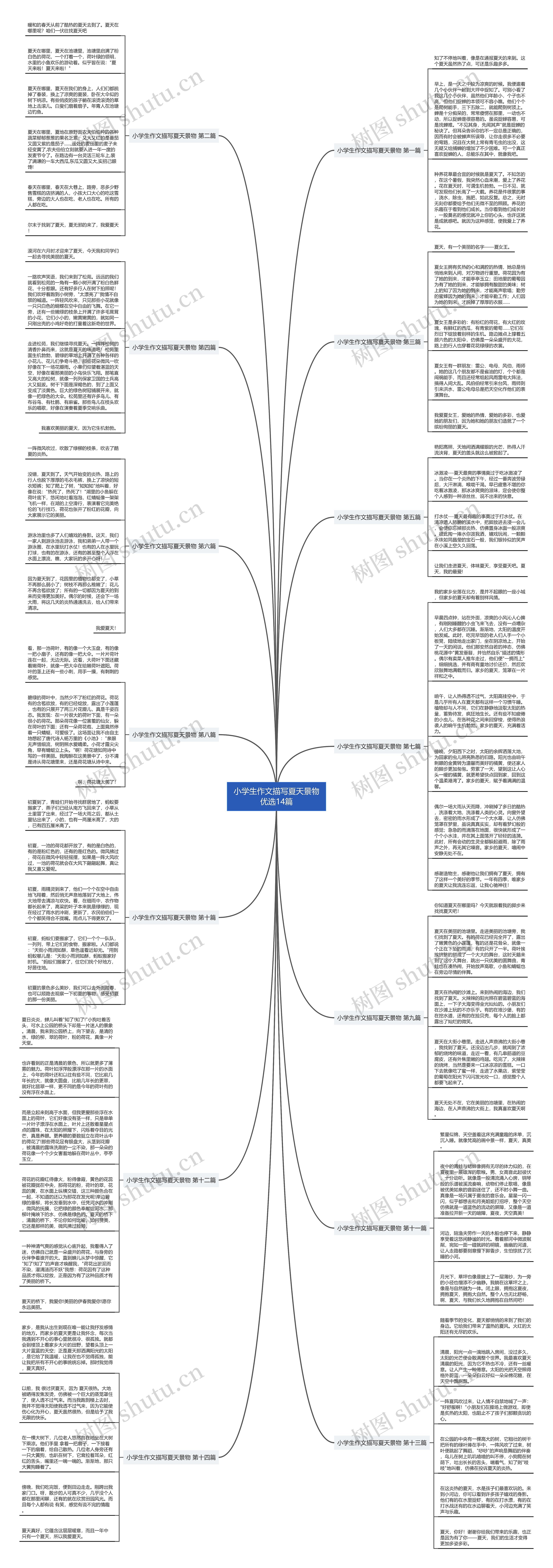 小学生作文描写夏天景物优选14篇思维导图