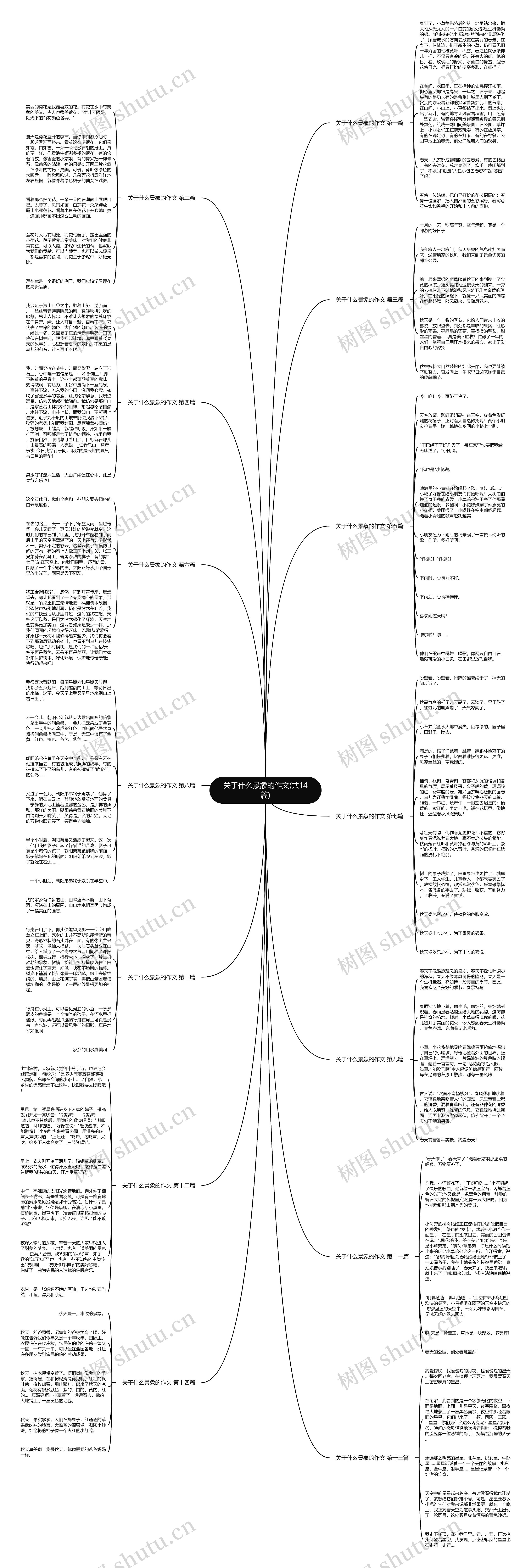 关于什么景象的作文(共14篇)