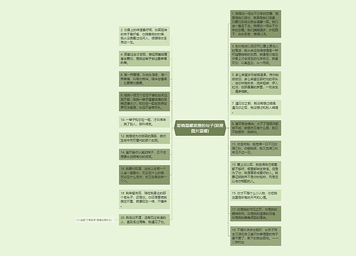 爱情温馨浪漫的句子(浪漫图片温馨)