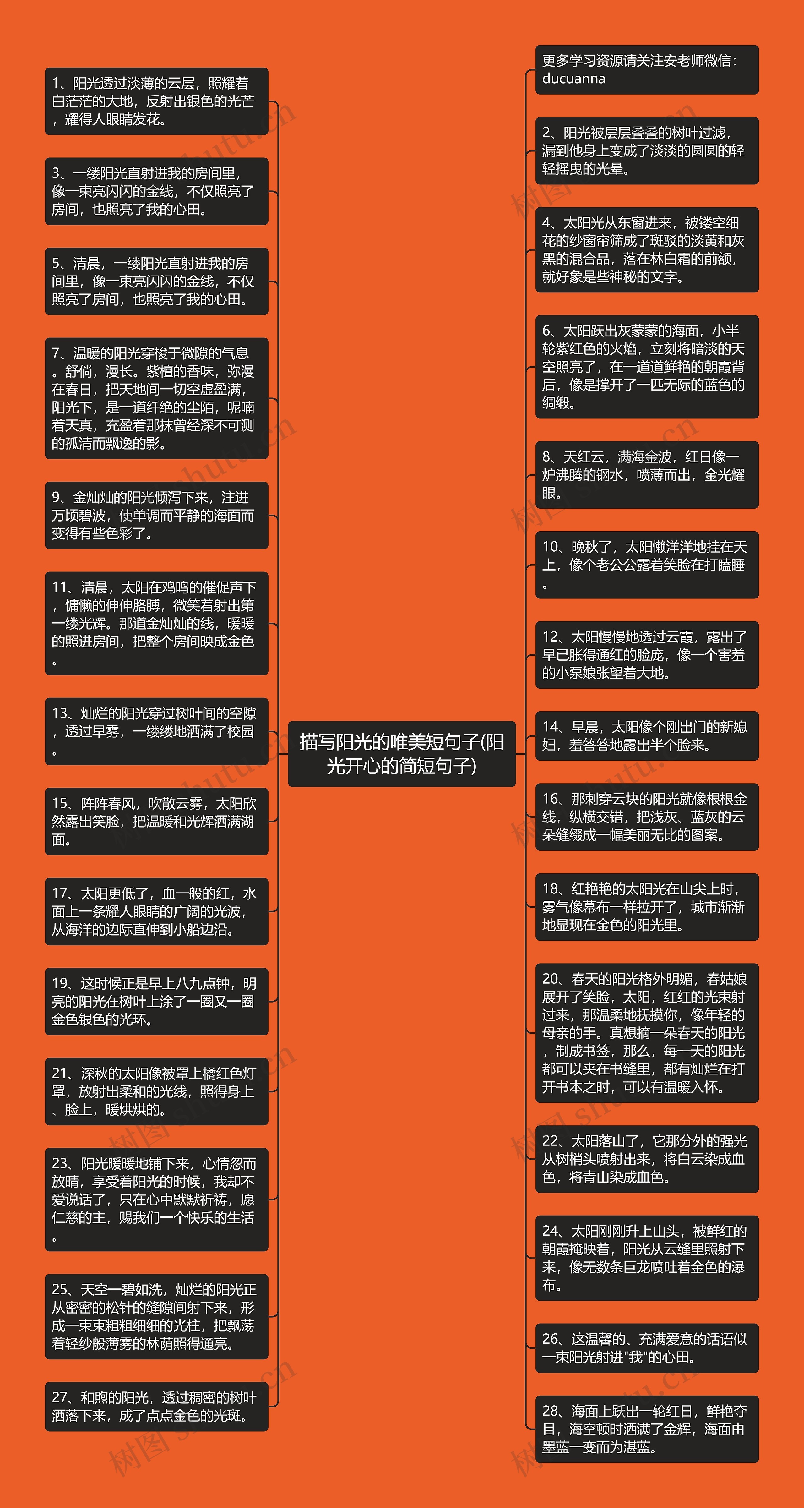描写阳光的唯美短句子(阳光开心的简短句子)