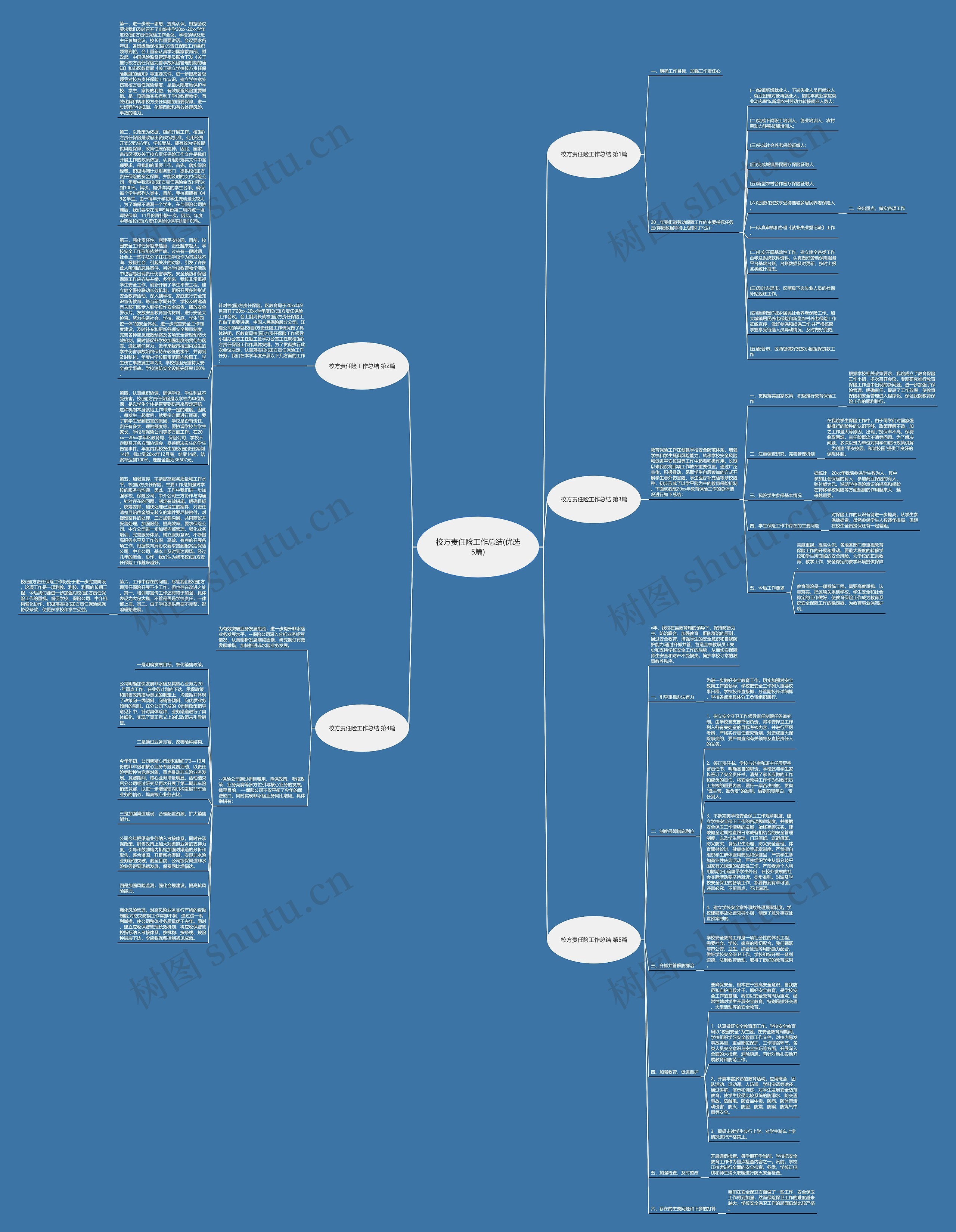 校方责任险工作总结(优选5篇)思维导图