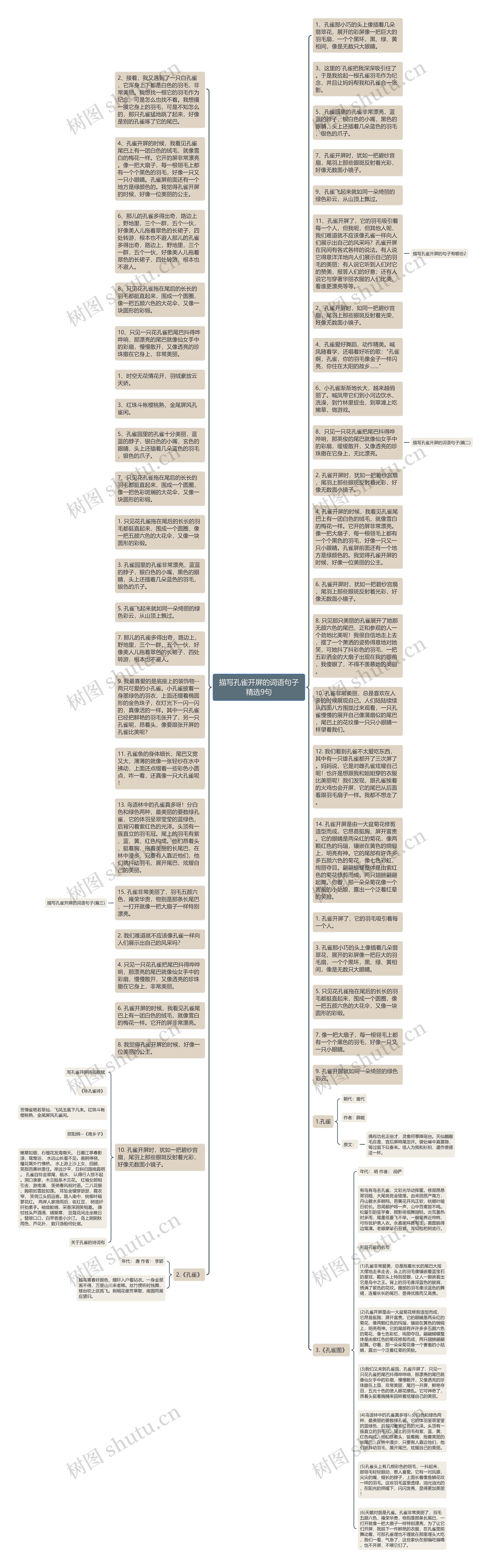 描写孔雀开屏的词语句子精选9句思维导图