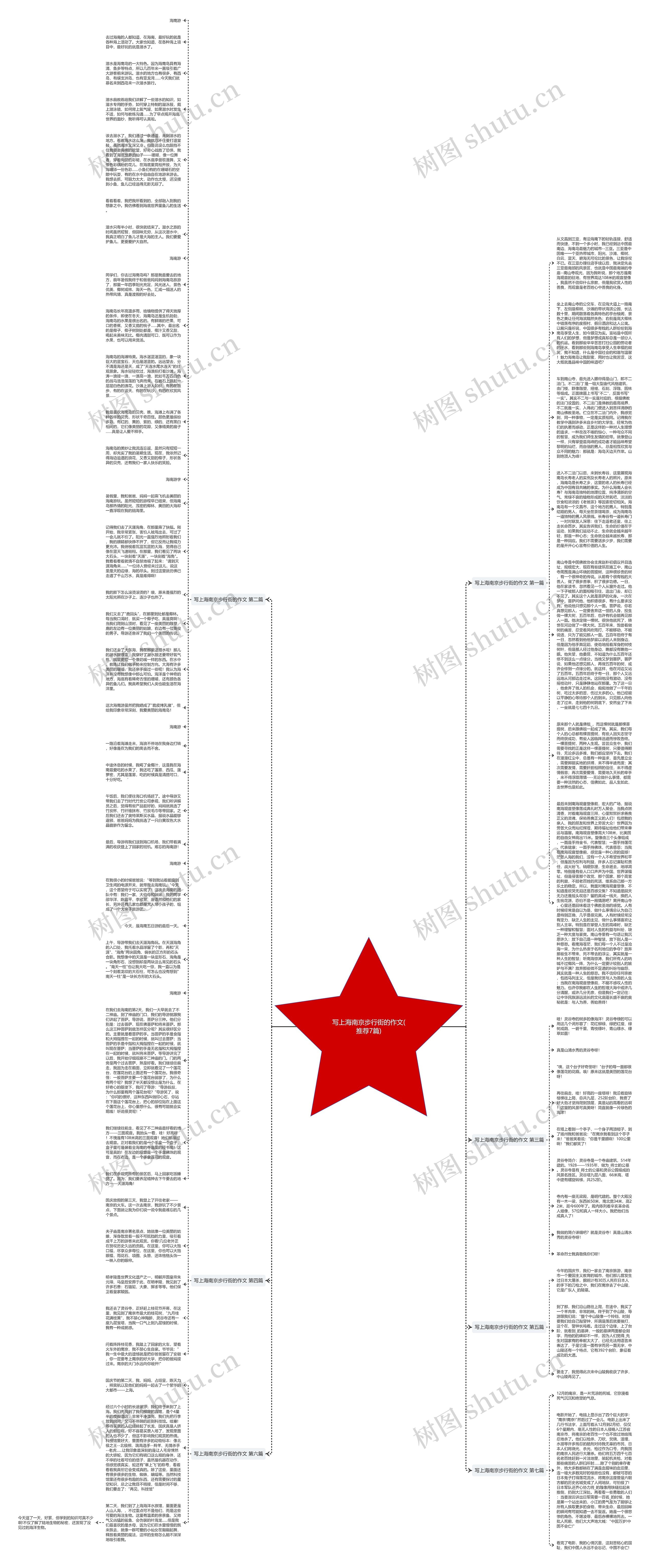 写上海南京步行街的作文(推荐7篇)思维导图