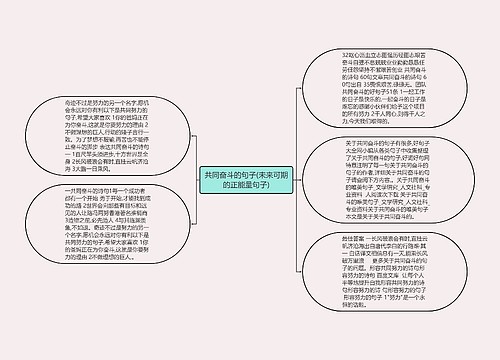 共同奋斗的句子(未来可期的正能量句子)