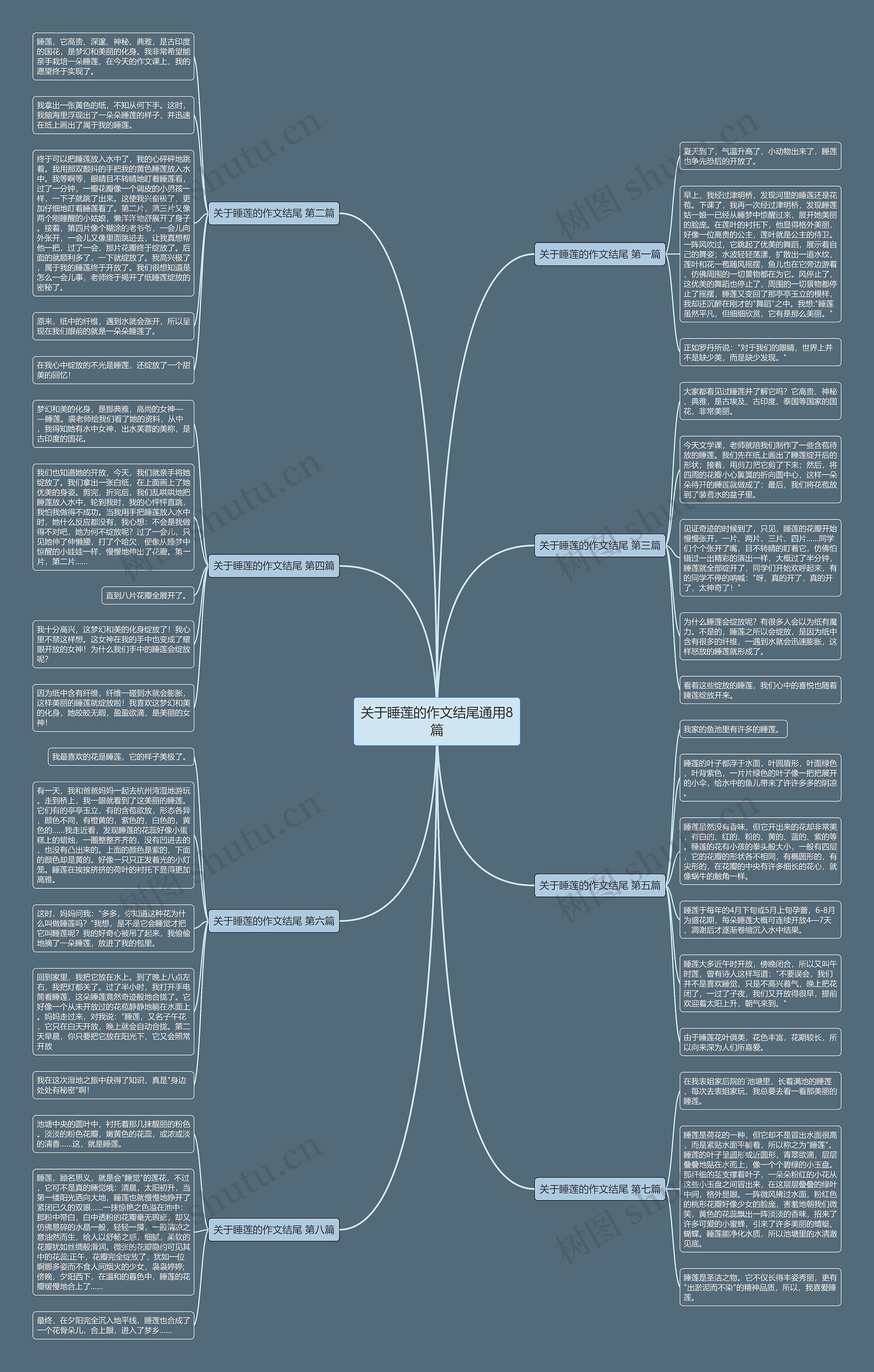 关于睡莲的作文结尾通用8篇思维导图