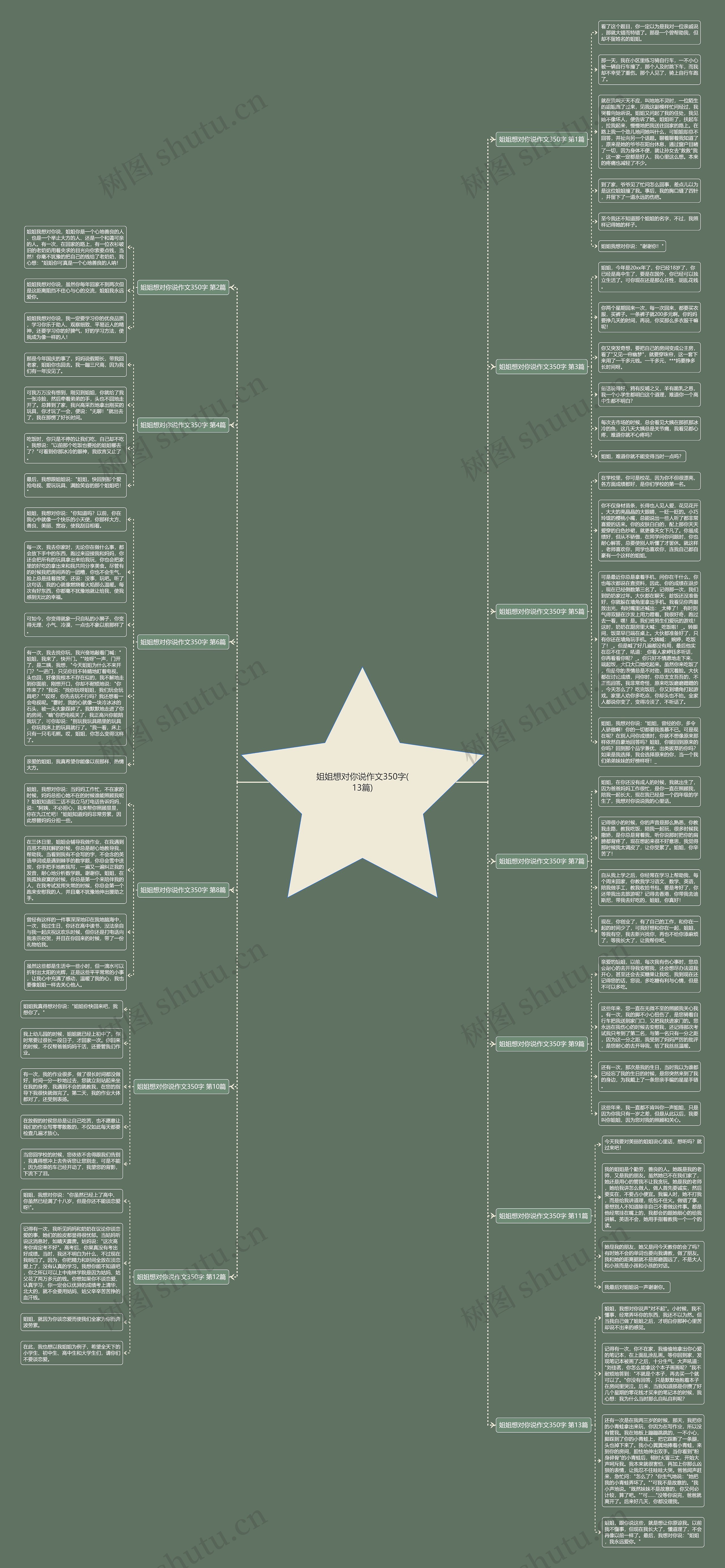 姐姐想对你说作文350字(13篇)思维导图