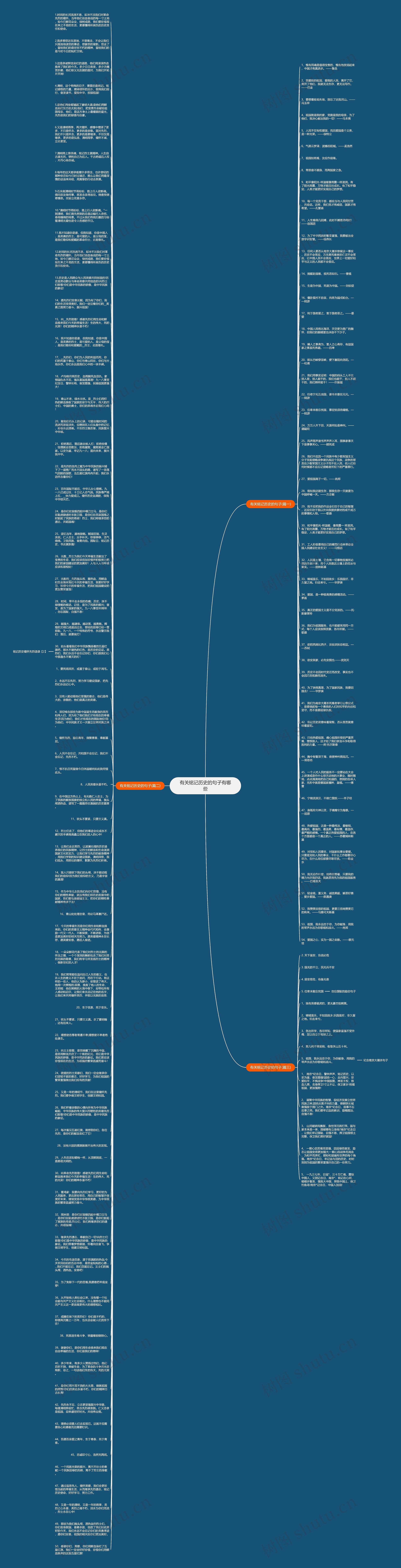 有关铭记历史的句子有哪些思维导图