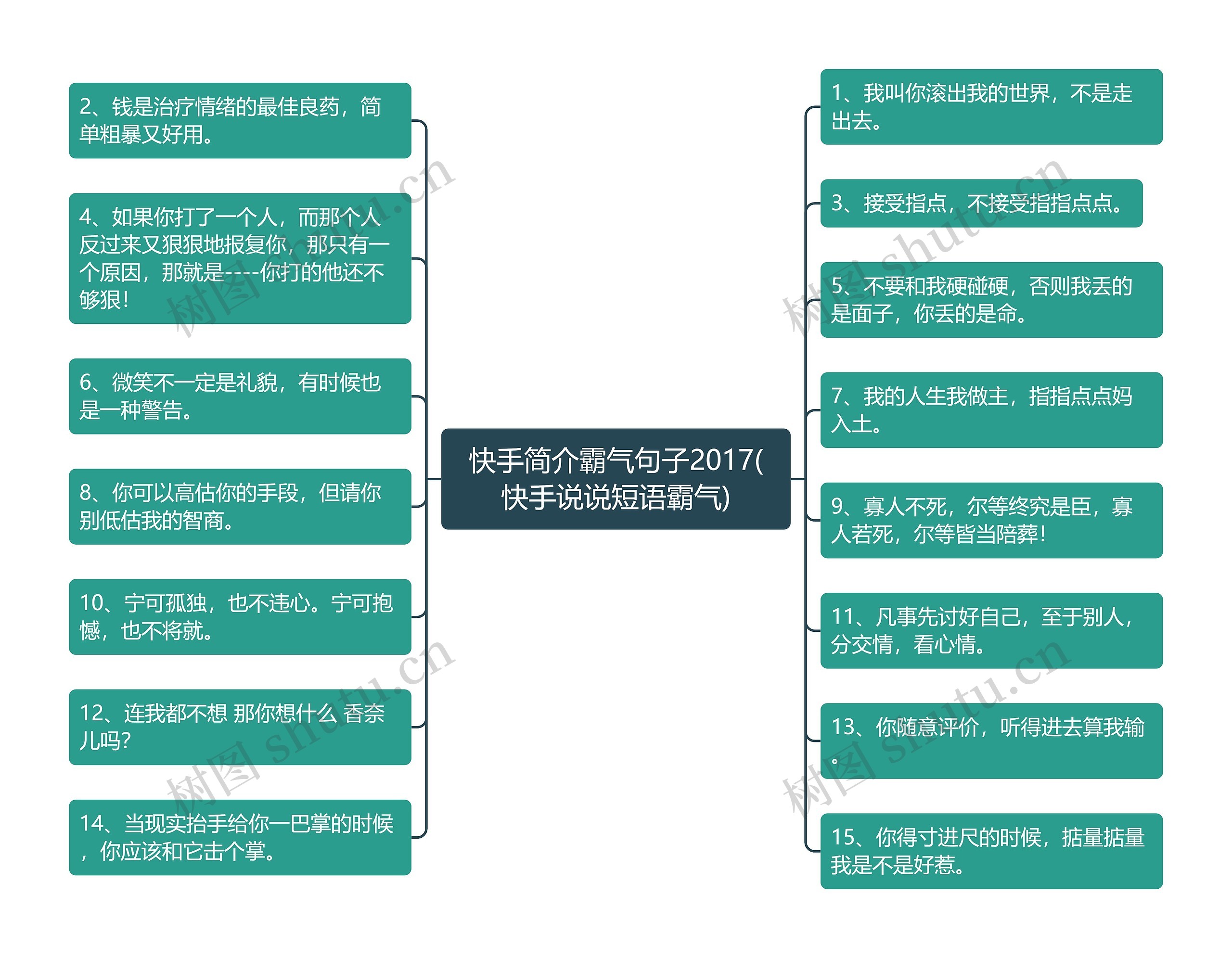 快手简介霸气句子2017(快手说说短语霸气)思维导图