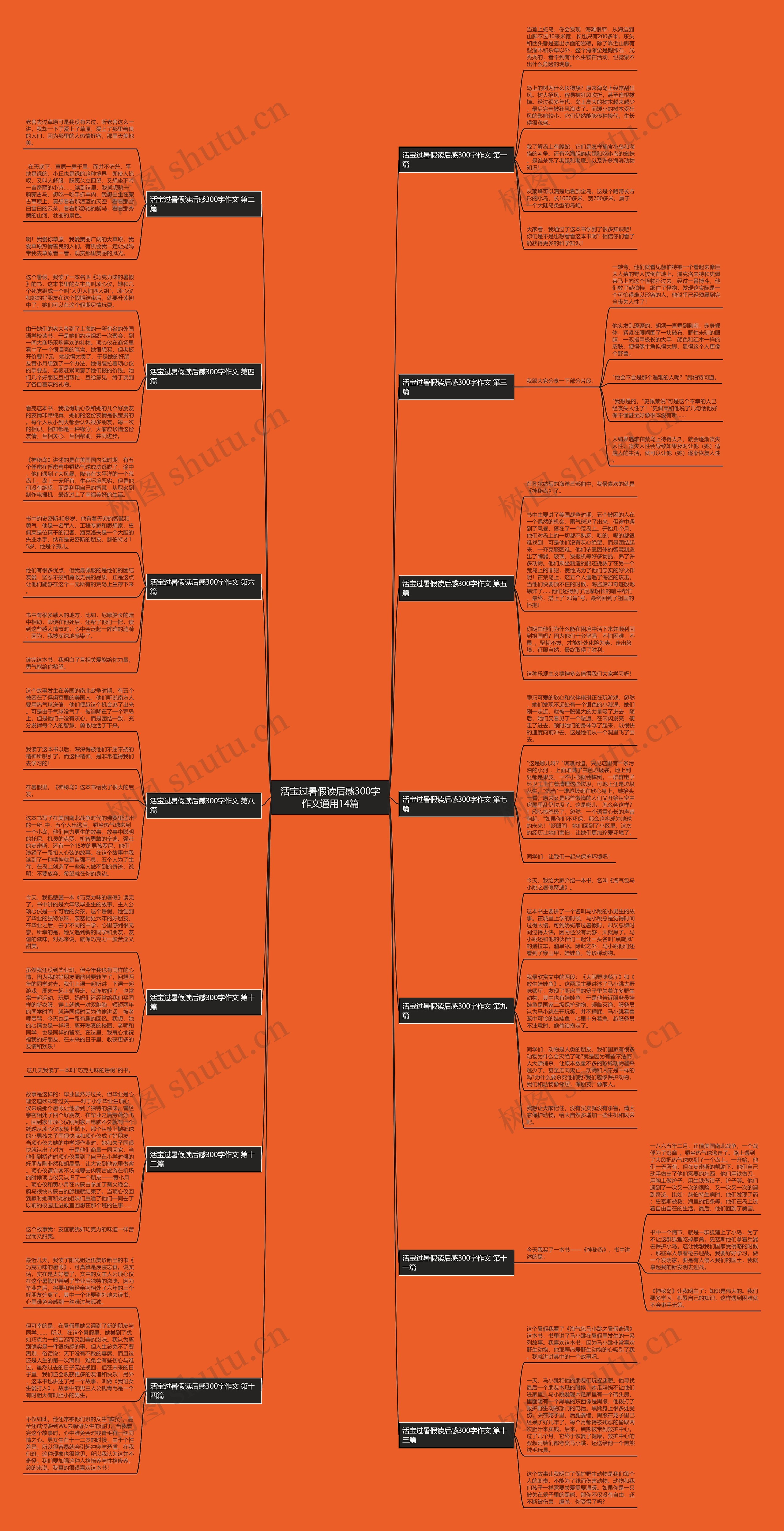 活宝过暑假读后感300字作文通用14篇思维导图