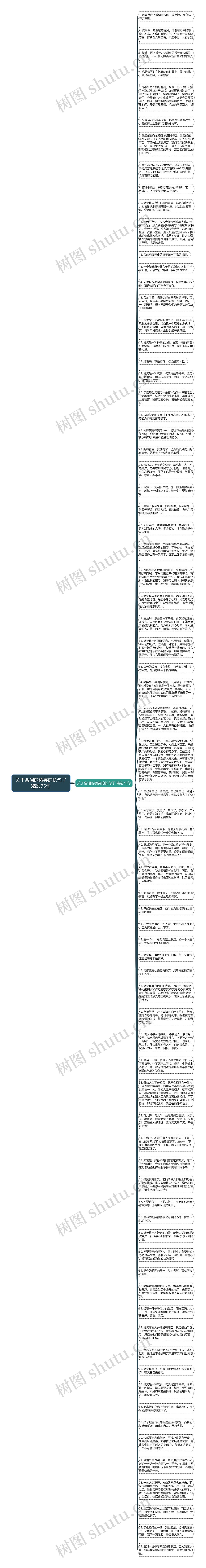 关于含泪的微笑的长句子精选75句思维导图