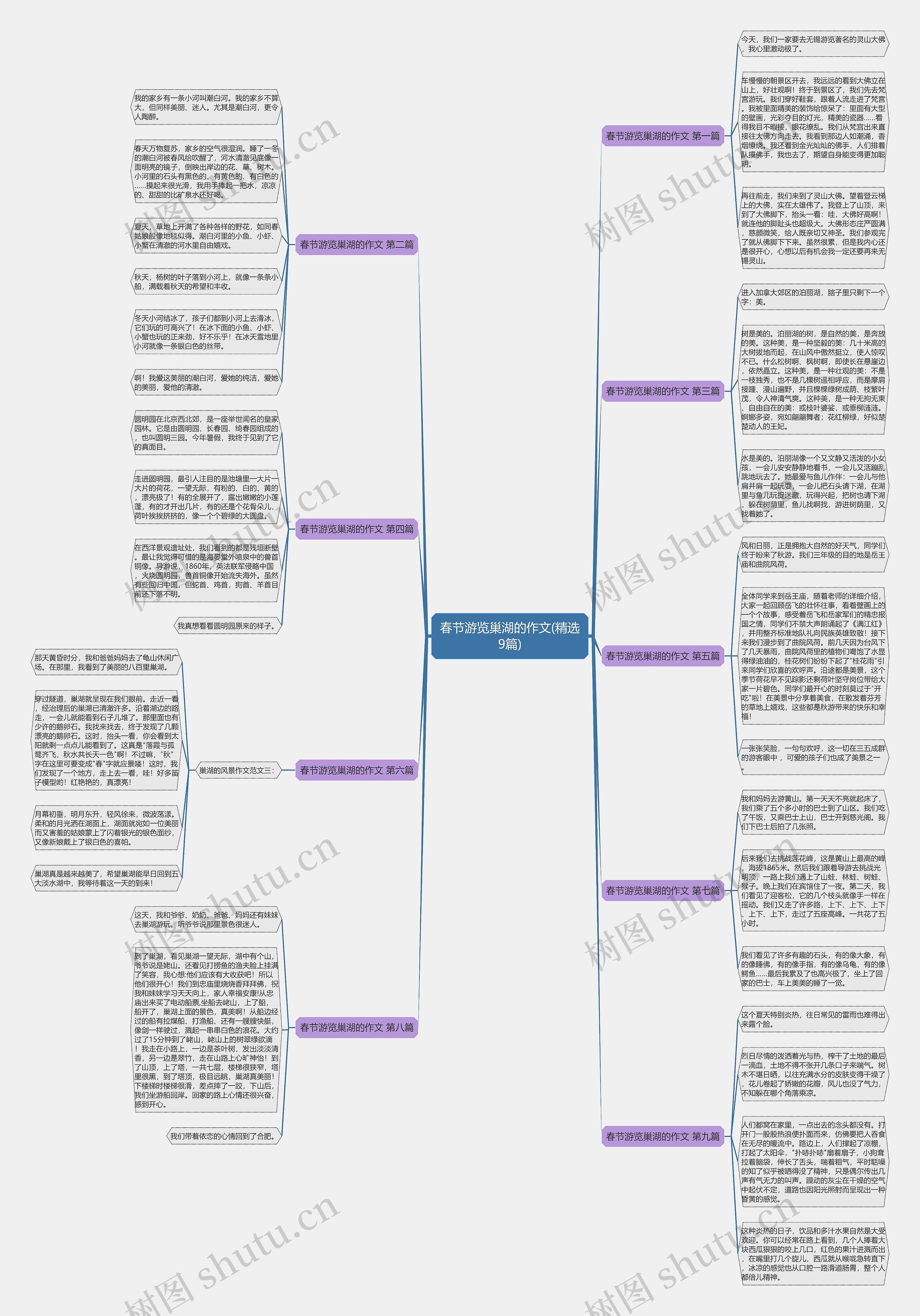 春节游览巢湖的作文(精选9篇)思维导图