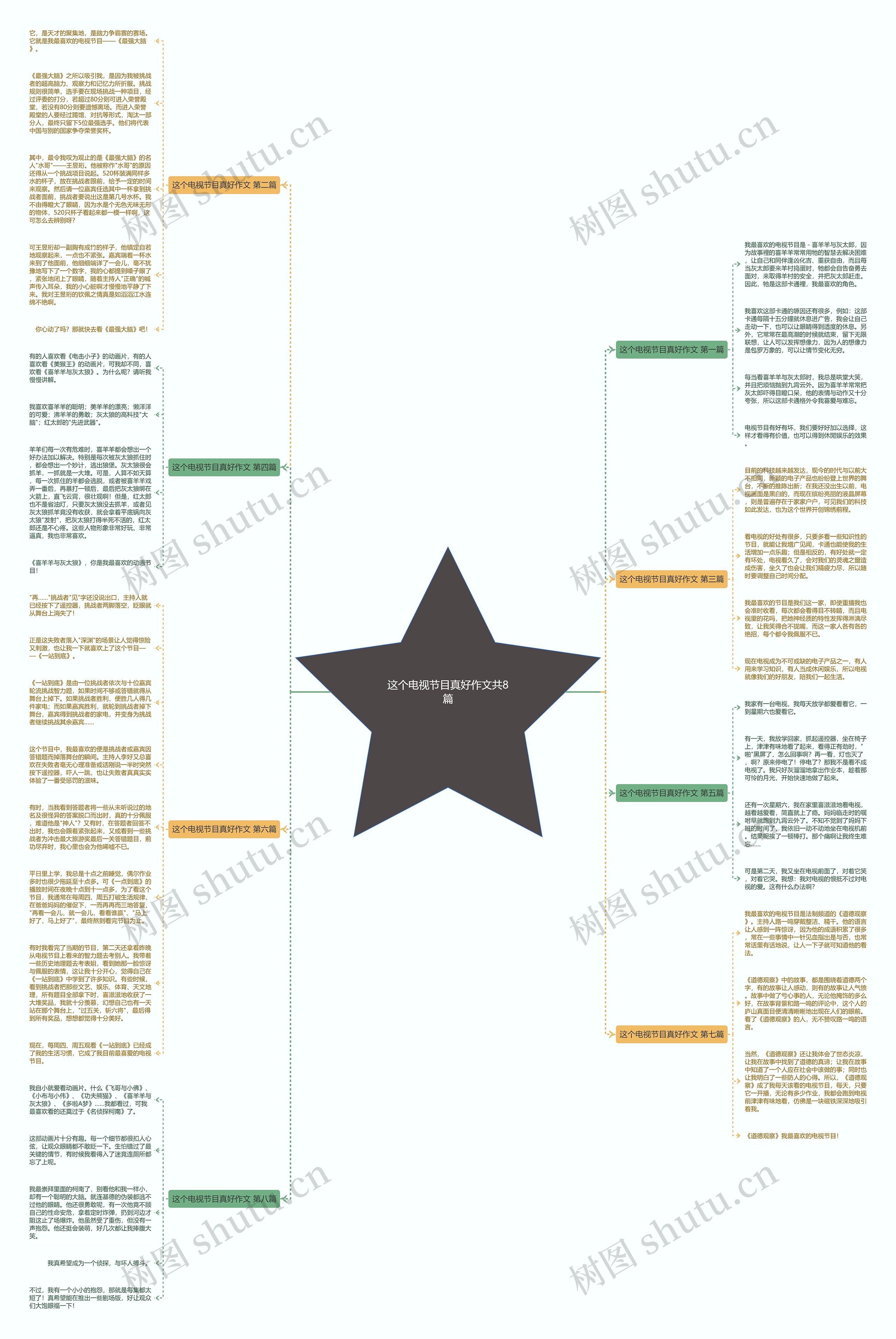 这个电视节目真好作文共8篇思维导图