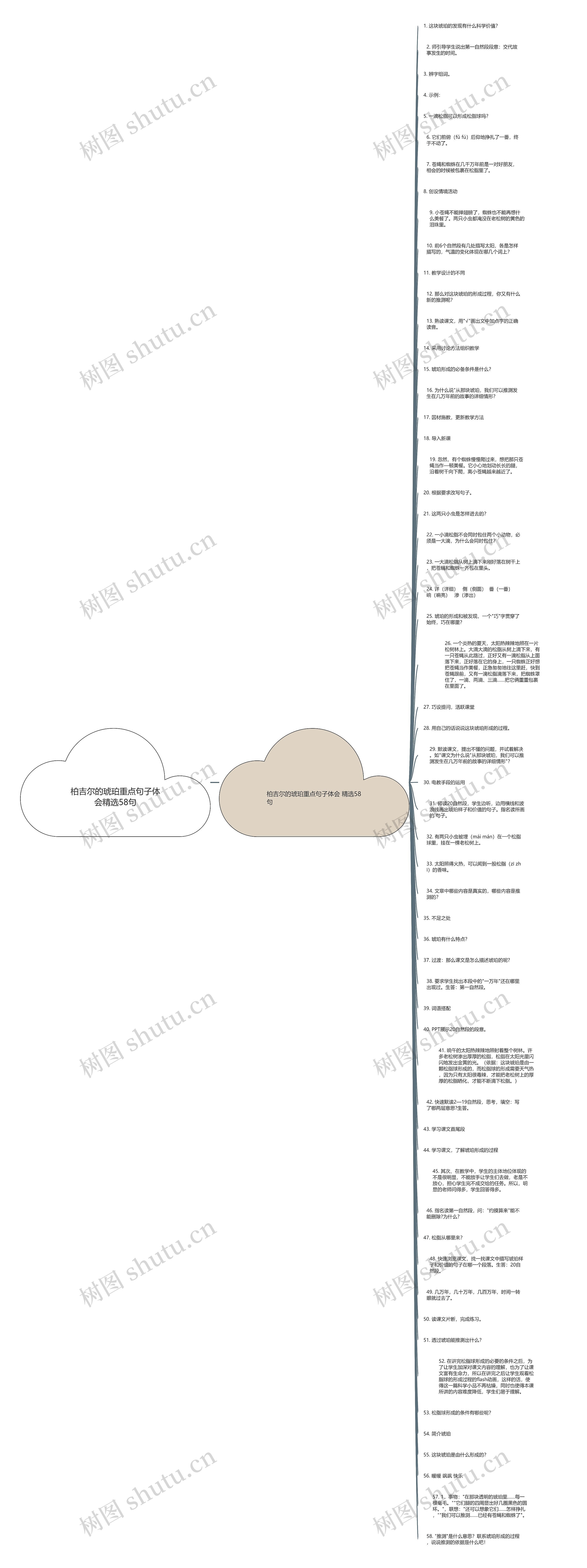 柏吉尔的琥珀重点句子体会精选58句思维导图