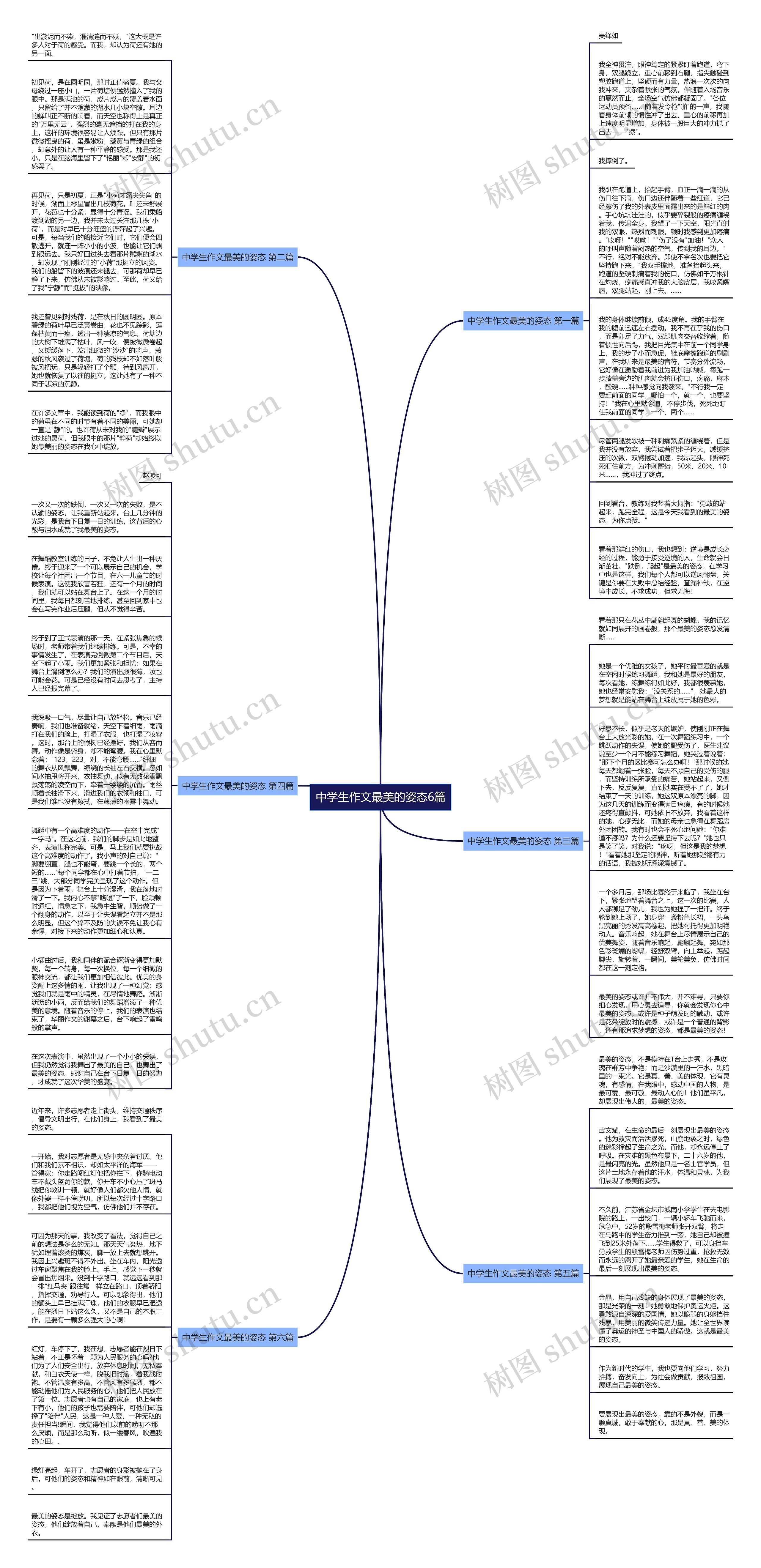 中学生作文最美的姿态6篇思维导图