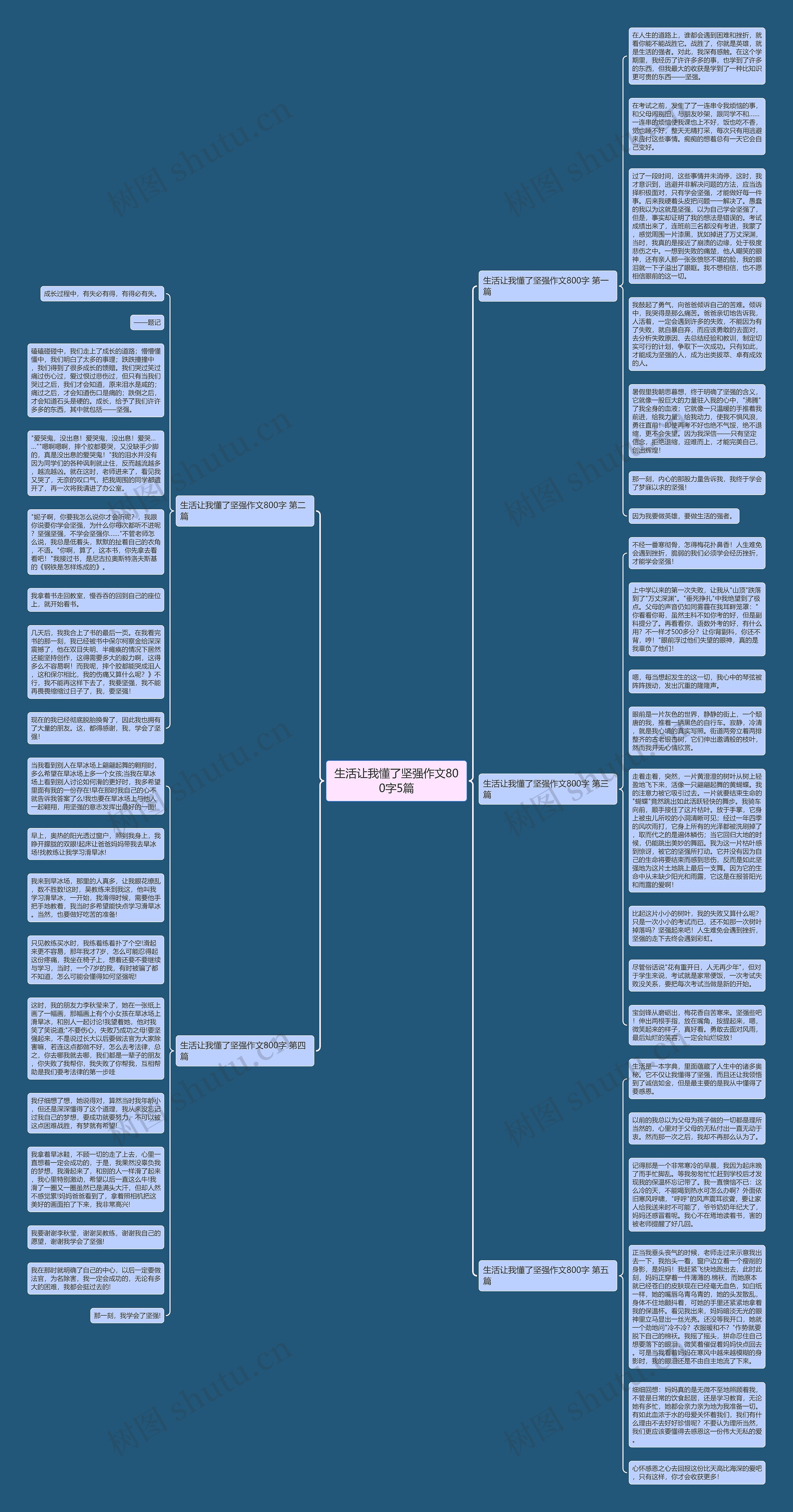 生活让我懂了坚强作文800字5篇思维导图
