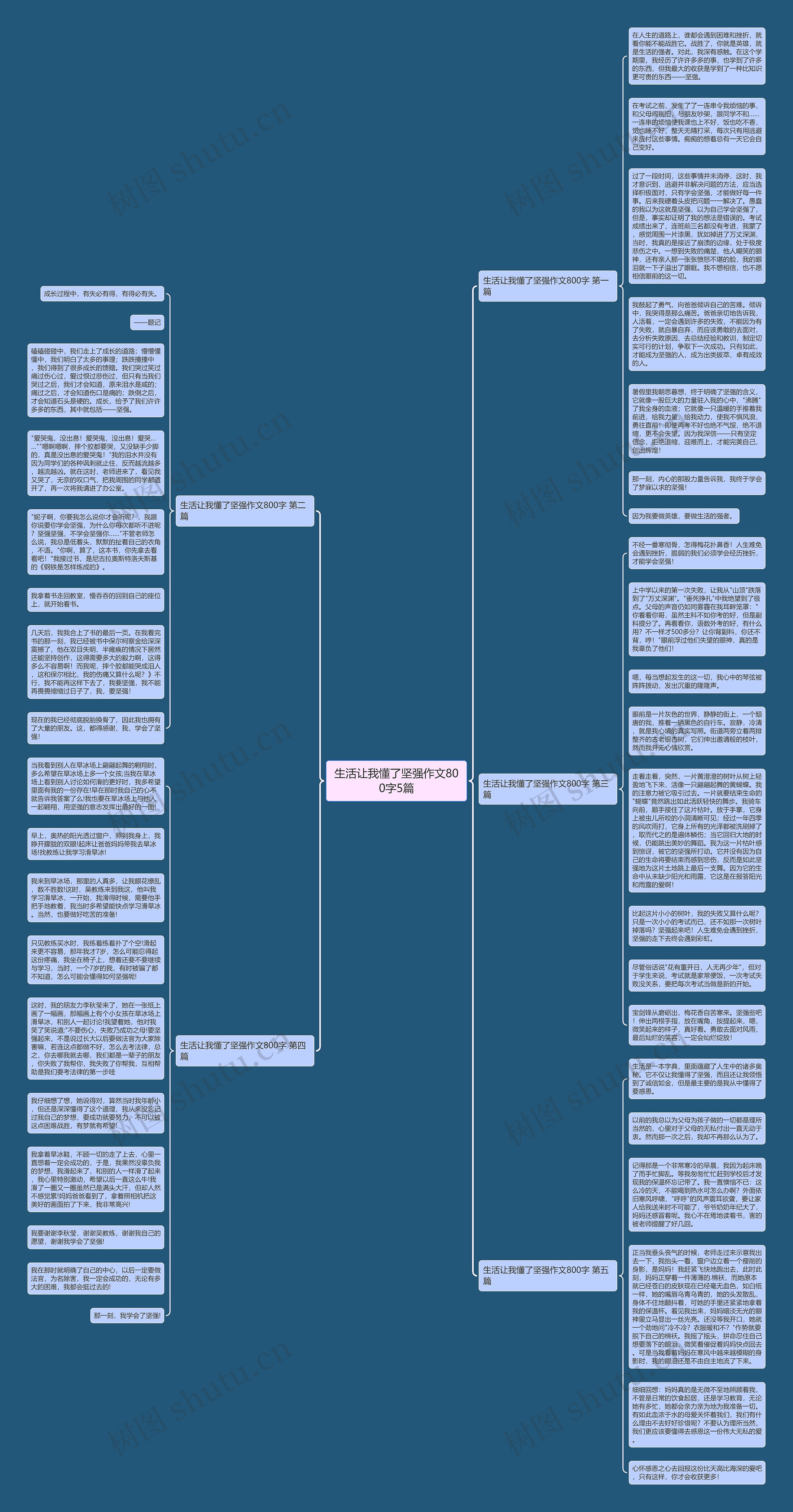 生活让我懂了坚强作文800字5篇思维导图高清图 生活让我懂了坚强作文800字5篇思维导图