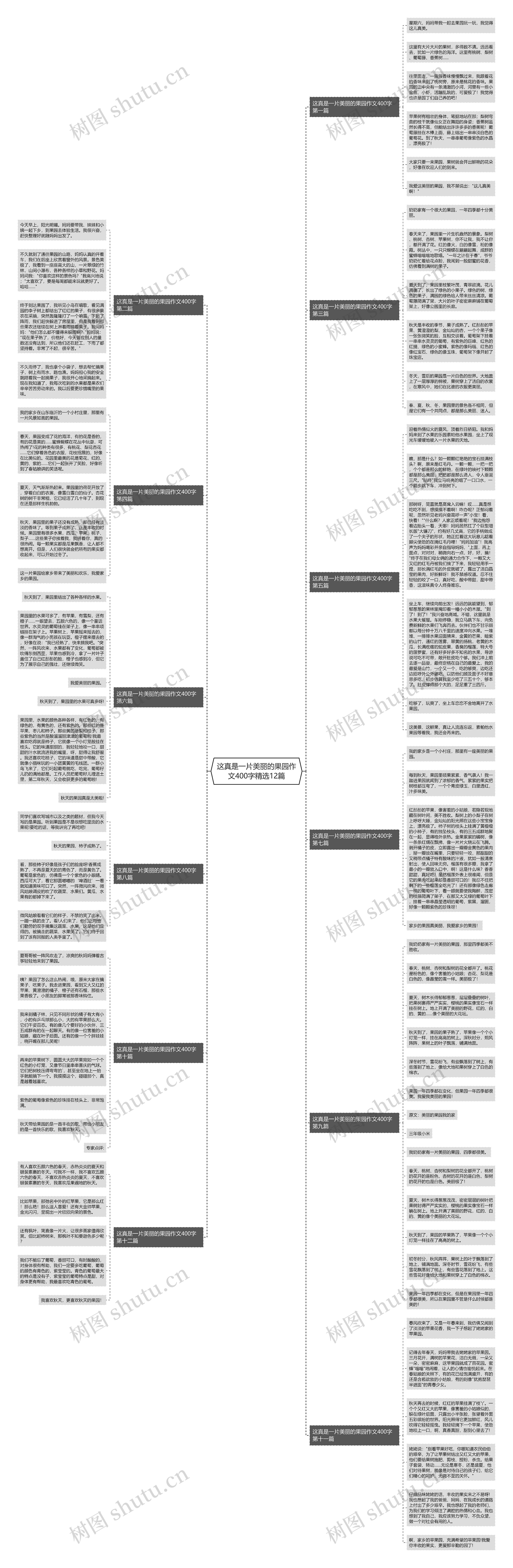 这真是一片美丽的果园作文400字精选12篇思维导图