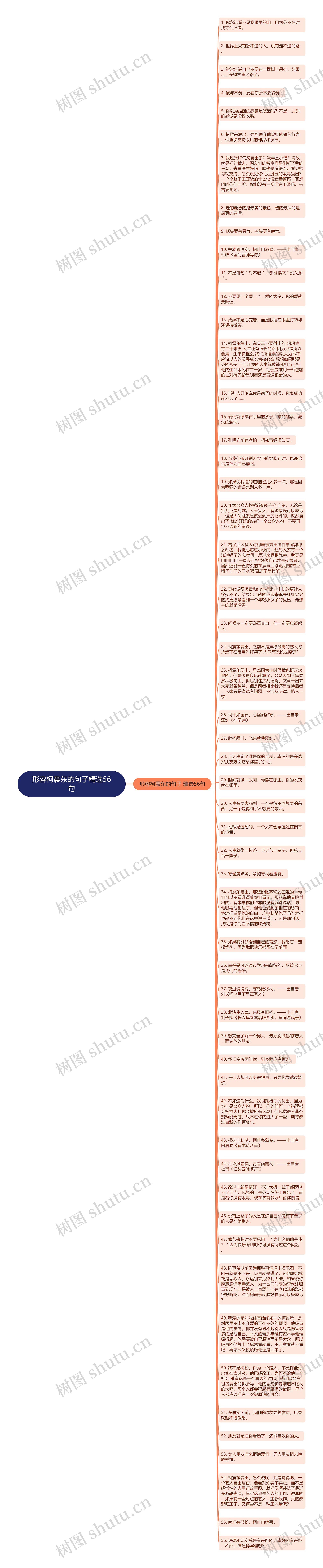 形容柯震东的句子精选56句思维导图