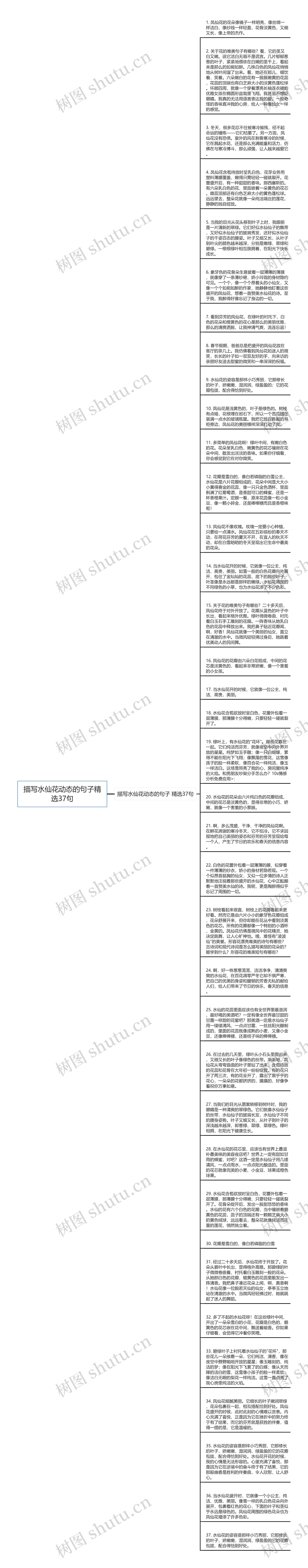 描写水仙花动态的句子精选37句思维导图