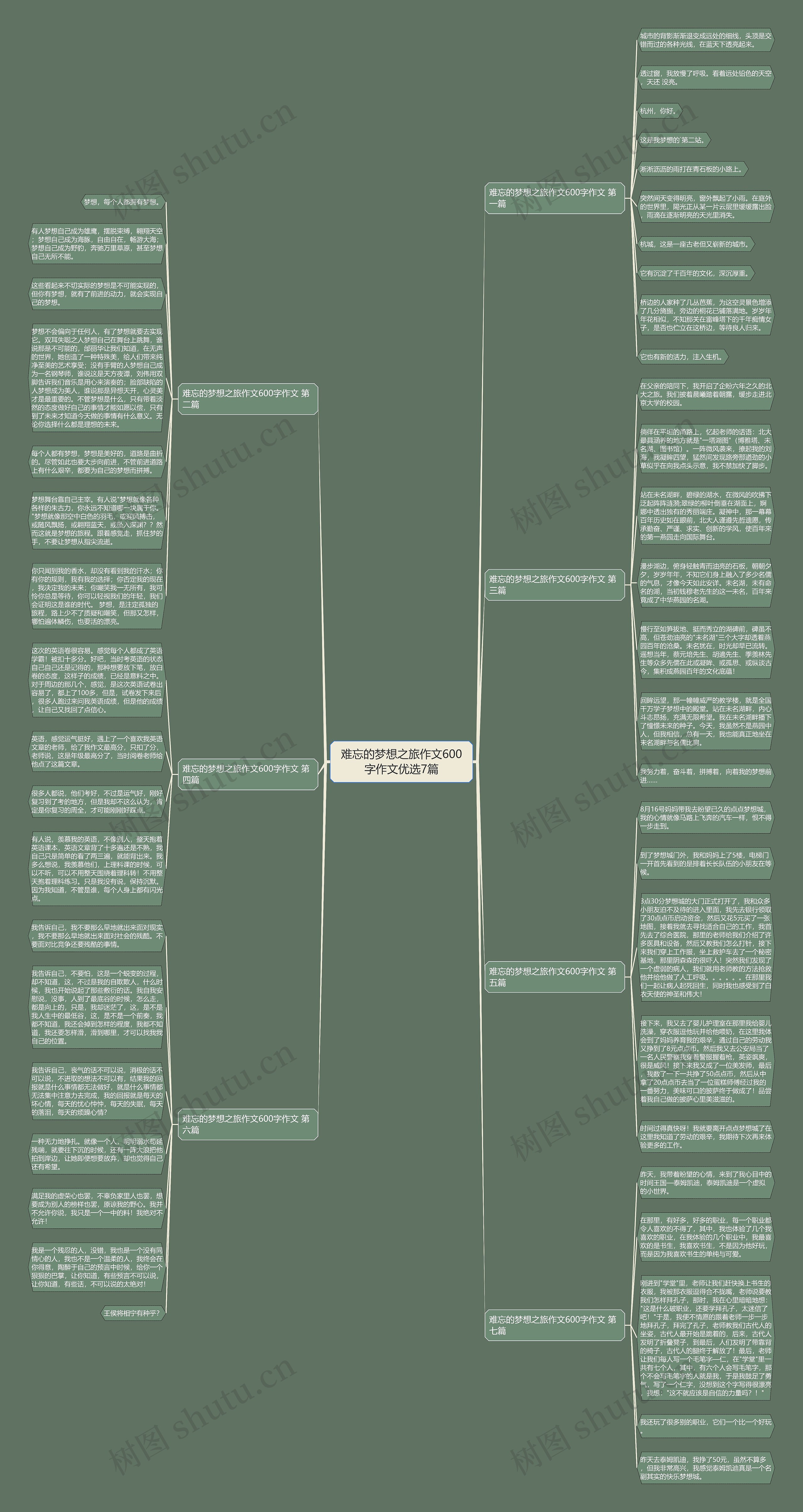 难忘的梦想之旅作文600字作文优选7篇思维导图