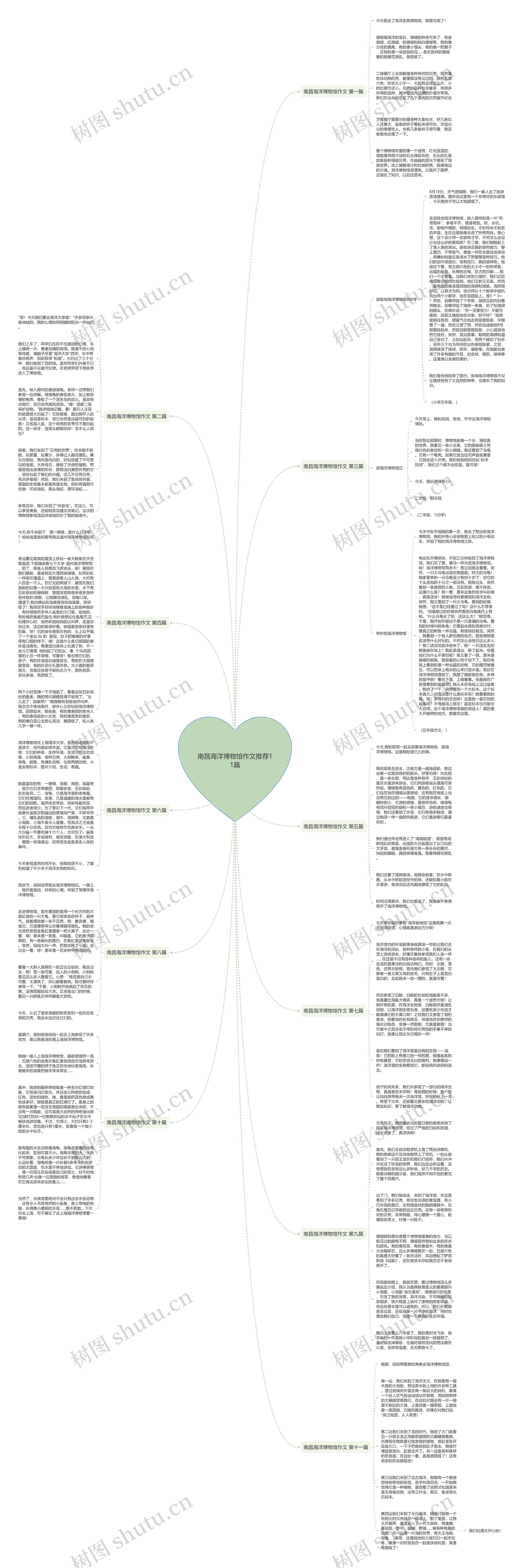 南昌海洋博物馆作文推荐11篇思维导图