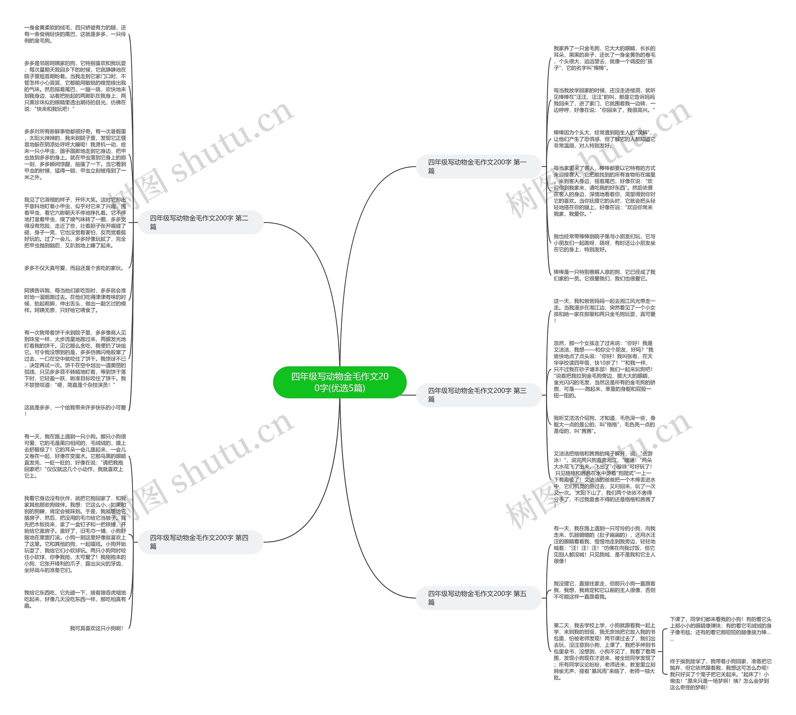 四年级写动物金毛作文200字(优选5篇)思维导图