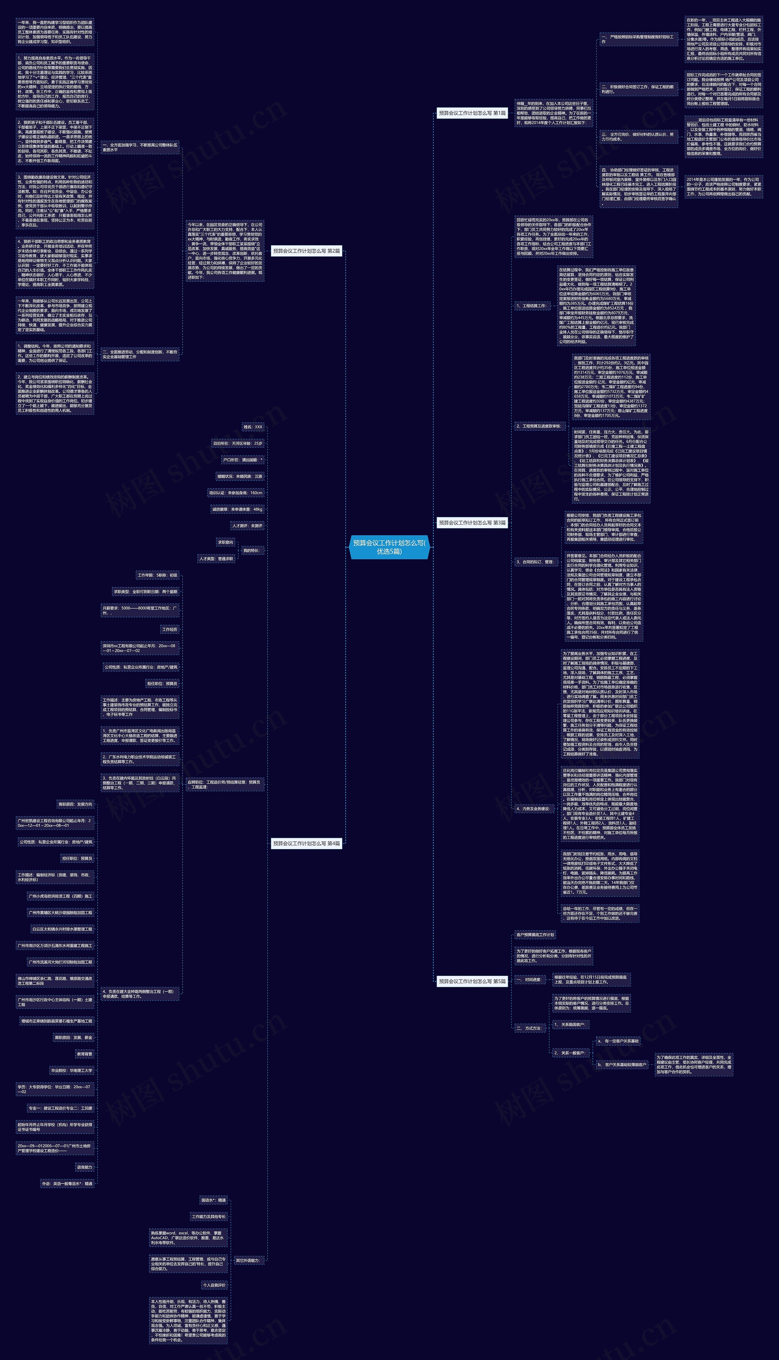 预算会议工作计划怎么写(优选5篇)思维导图
