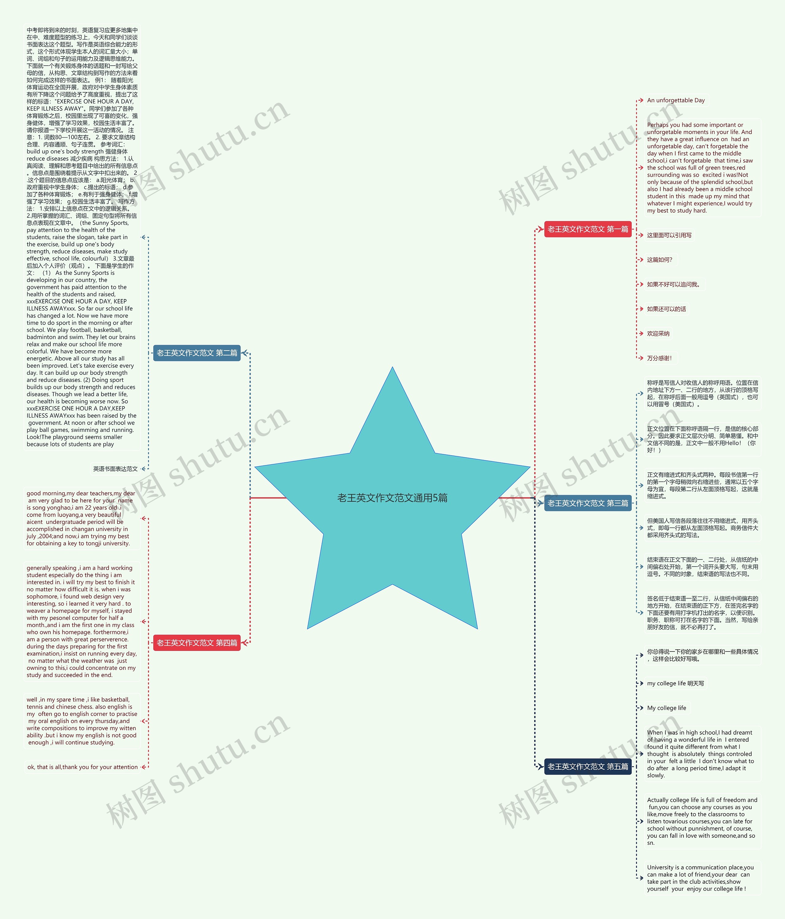 老王英文作文范文通用5篇思维导图