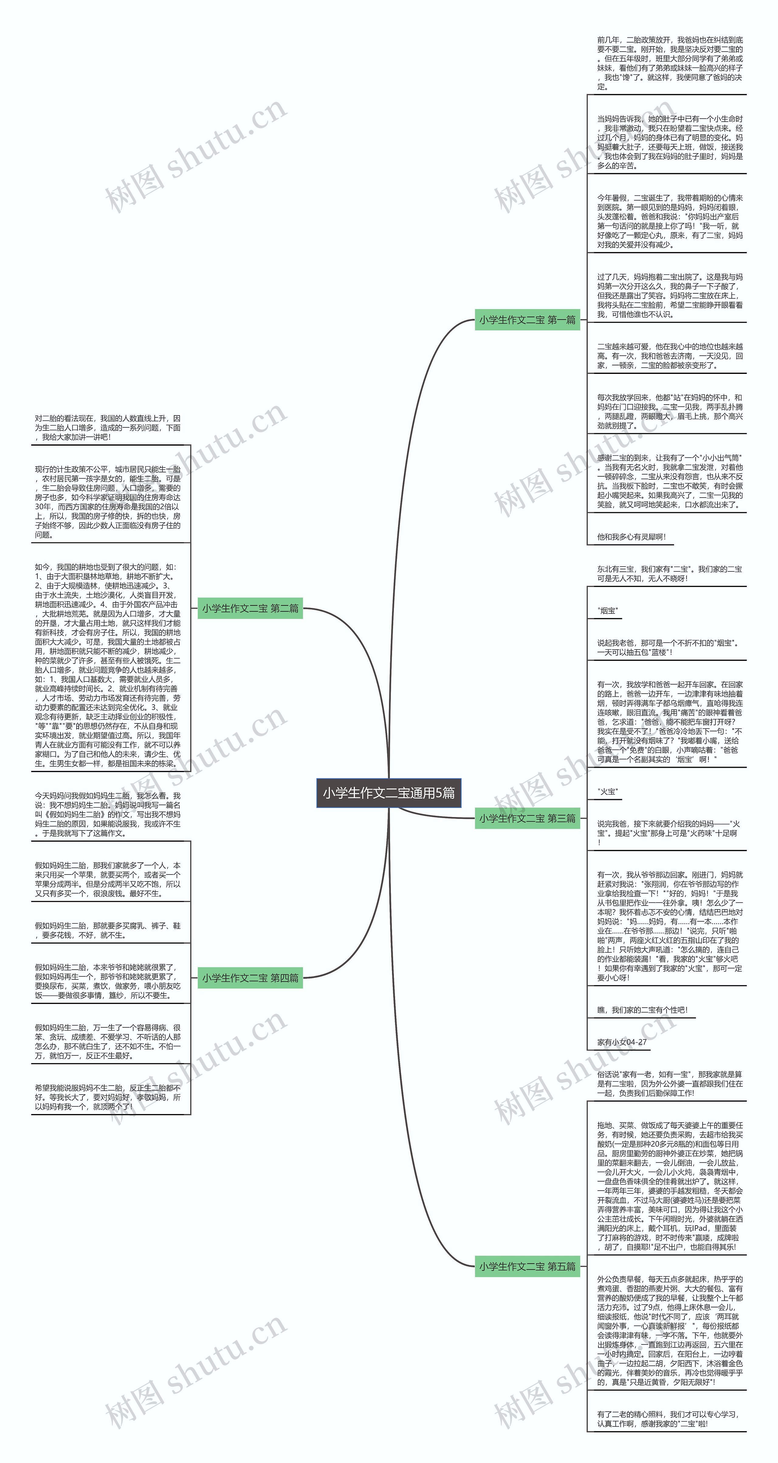 小学生作文二宝通用5篇