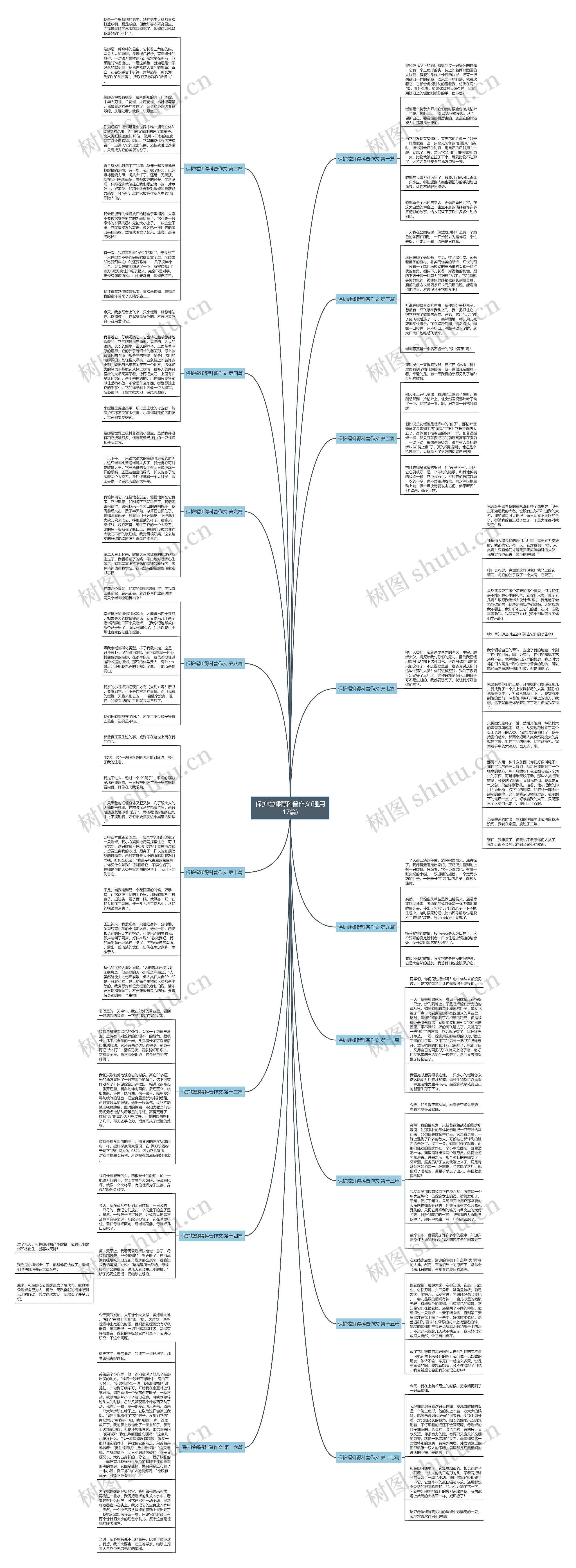 保护螳螂得科普作文(通用17篇)思维导图