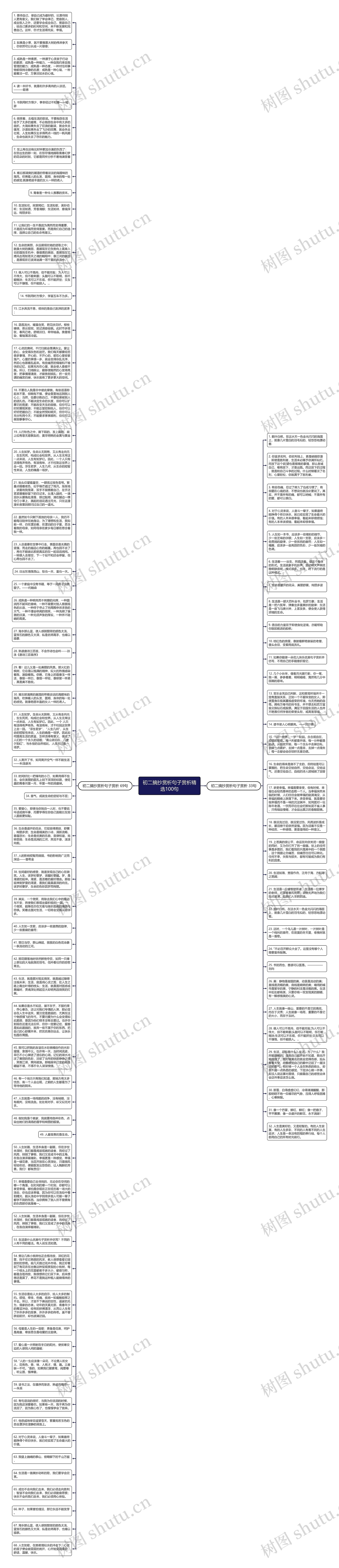 初二摘抄赏析句子赏析精选100句思维导图