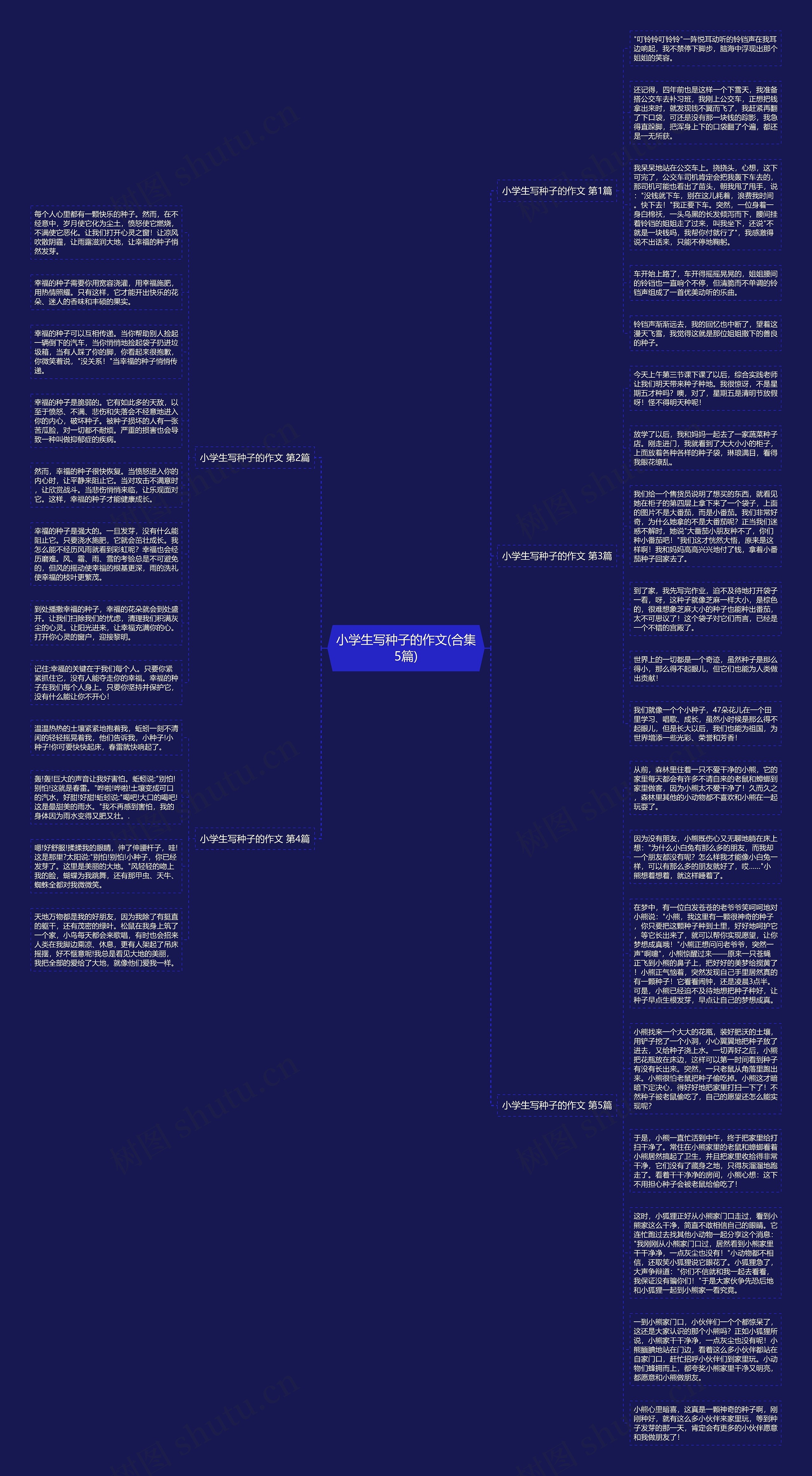 小学生写种子的作文(合集5篇)思维导图