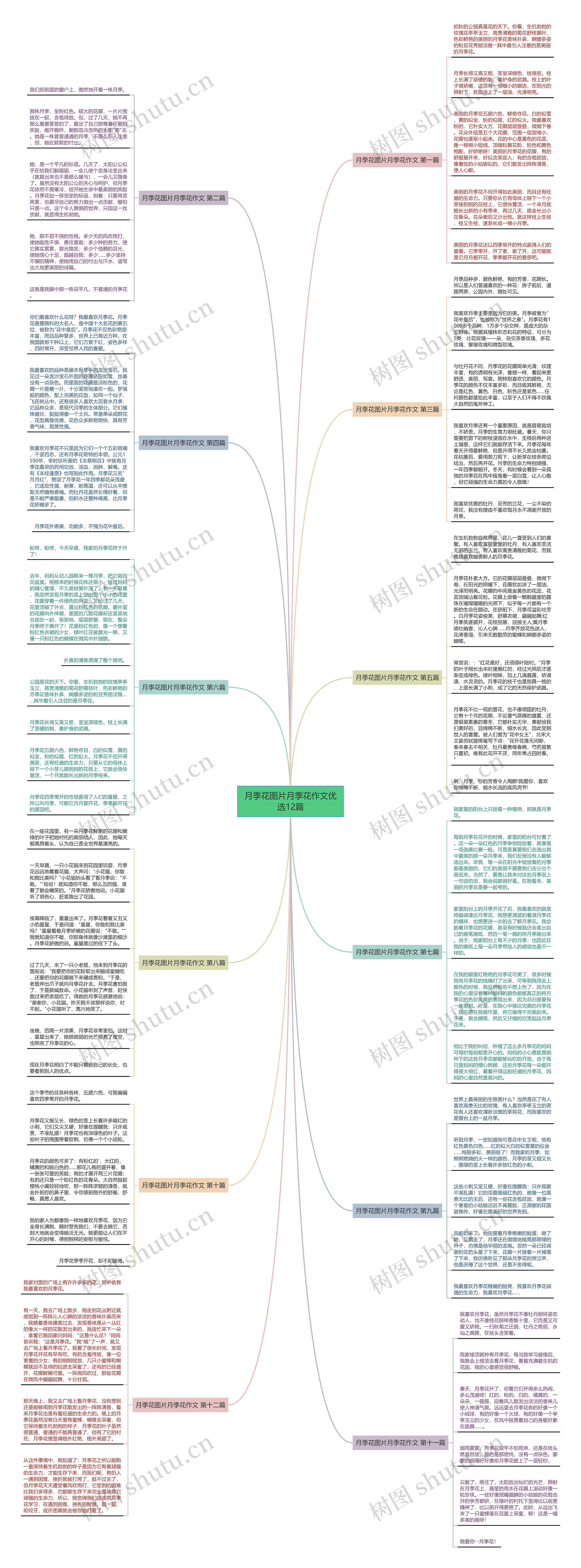 月季花图片月季花作文优选12篇 月季花图片月季花作文优选12篇