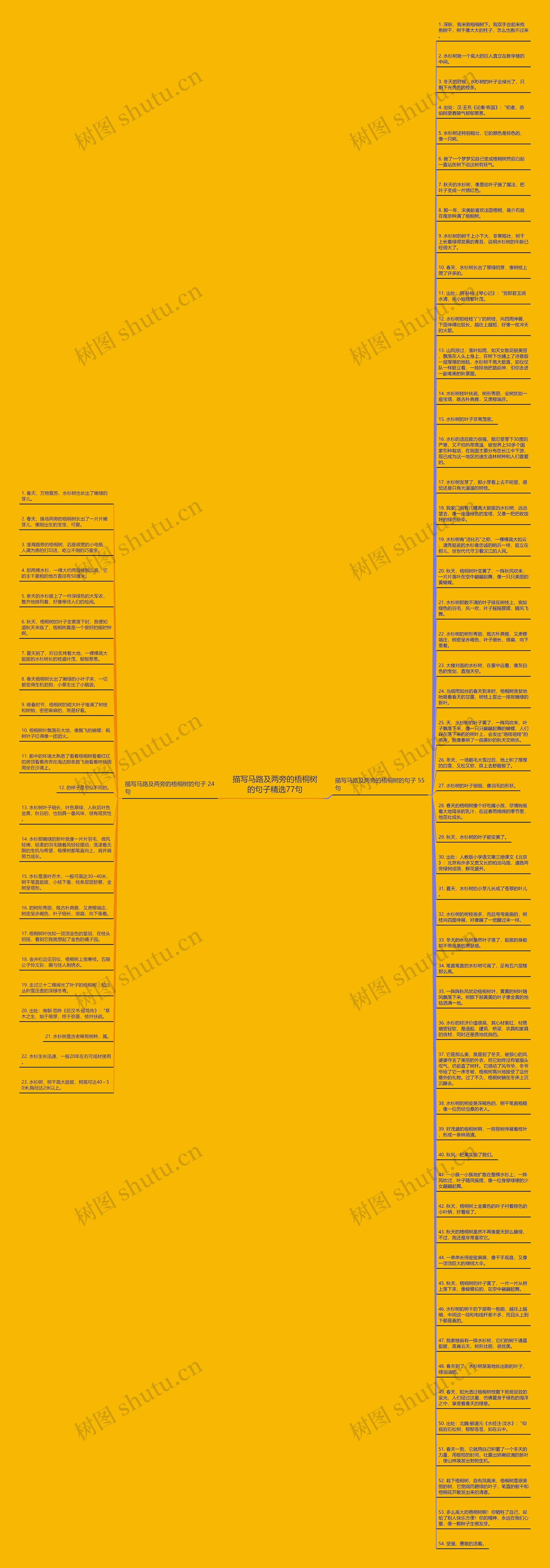 描写马路及两旁的梧桐树的句子精选77句思维导图