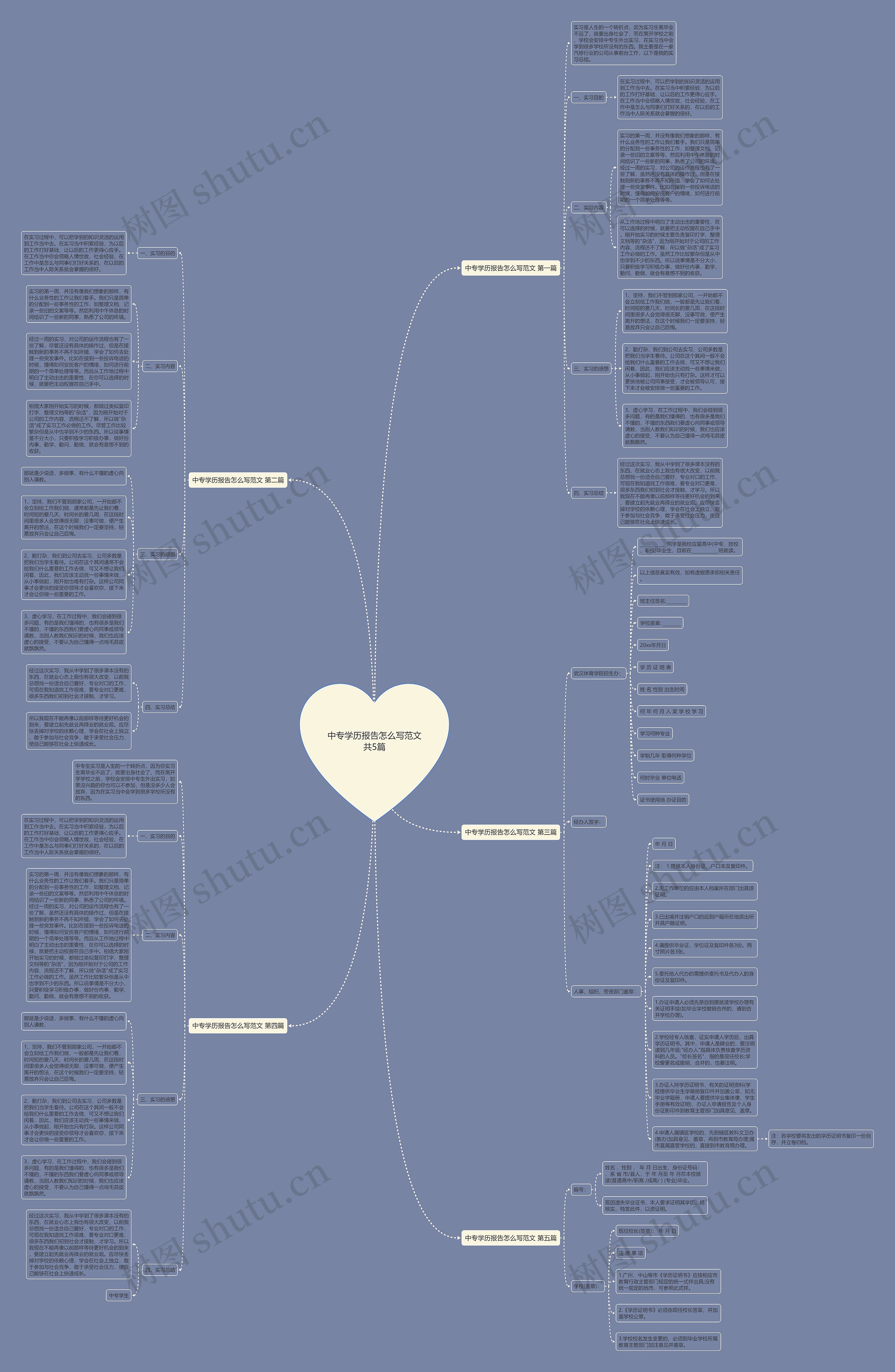 中专学历报告怎么写范文共5篇思维导图