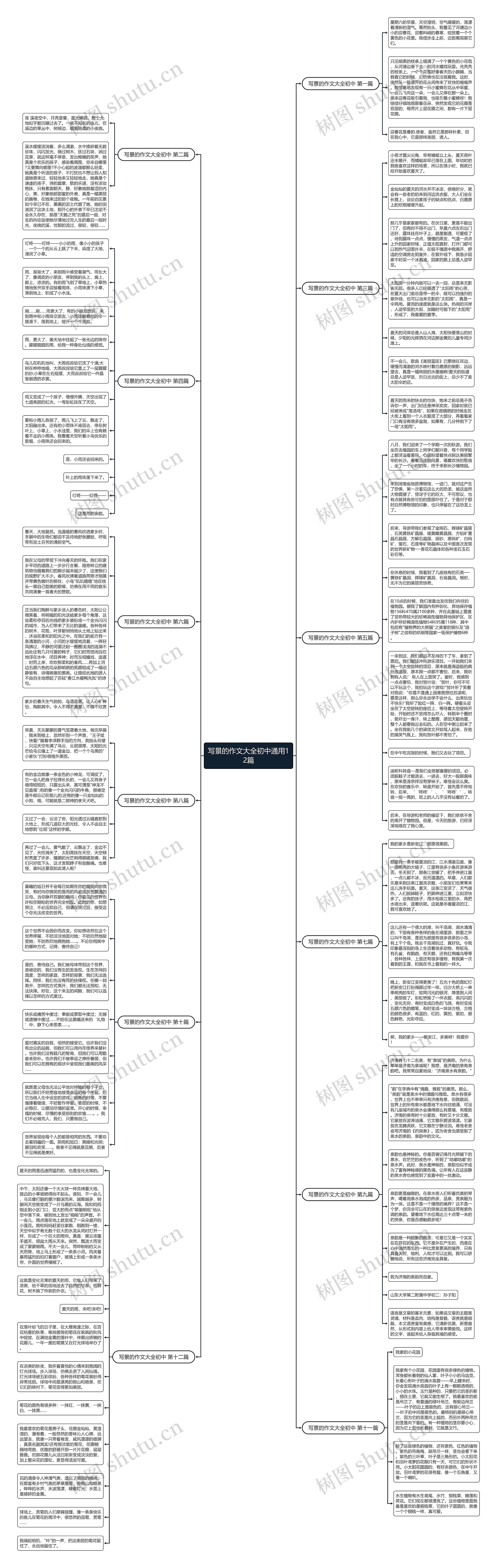 写景的作文大全初中通用12篇思维导图