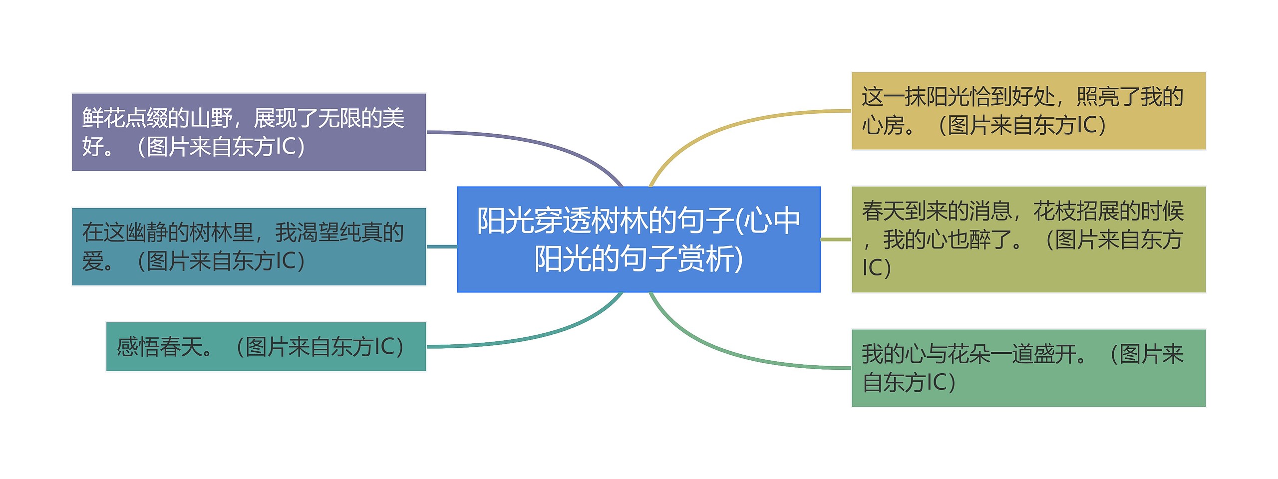 阳光穿透树林的句子(心中阳光的句子赏析) 阳光穿透树林的句子(心中阳光的句子赏析)