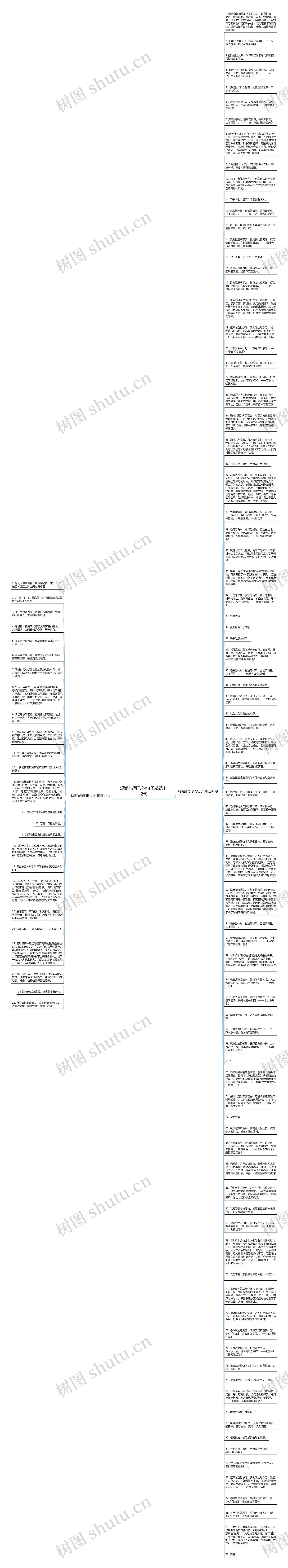 观潮描写形的句子精选112句思维导图