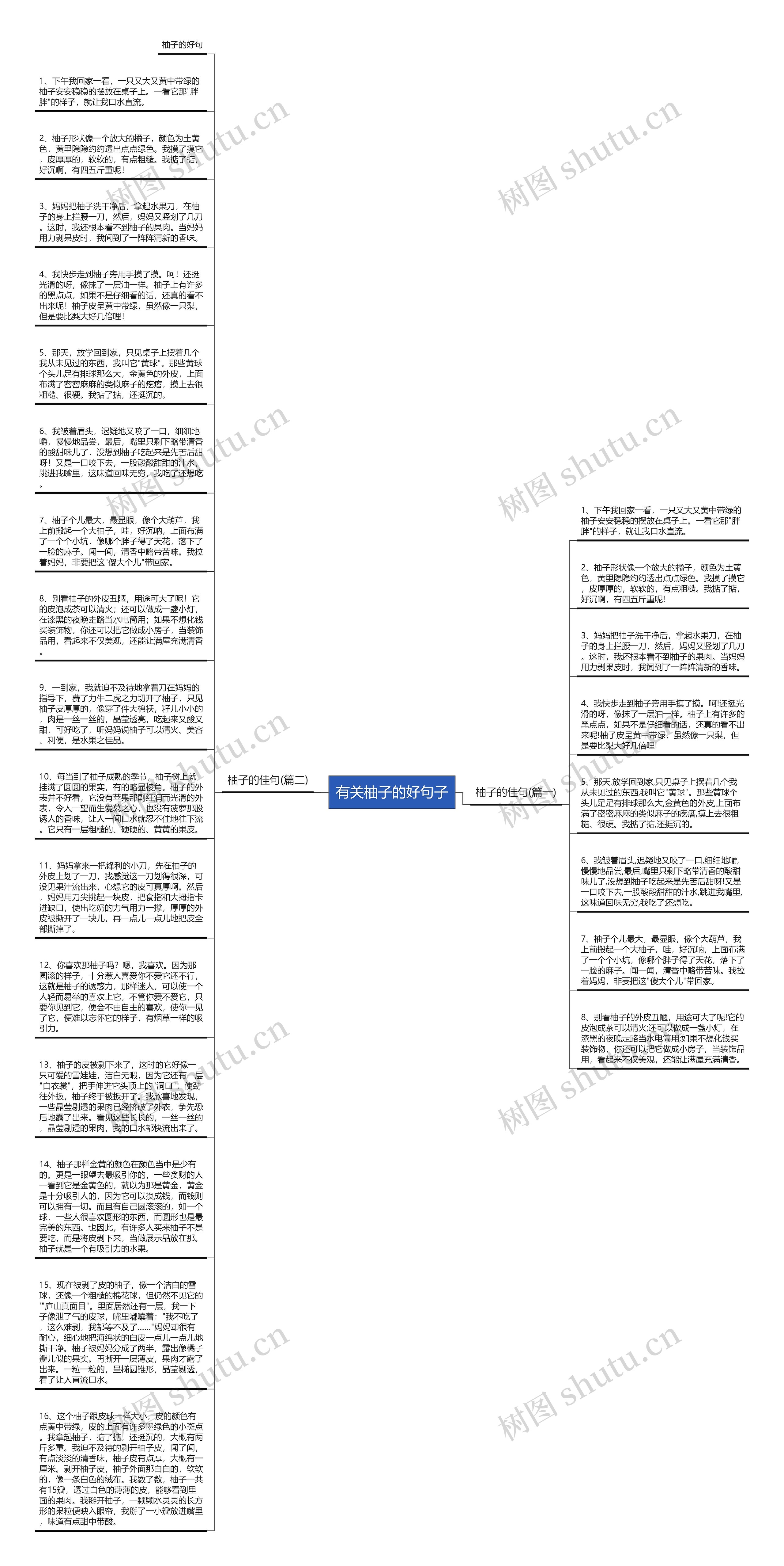 有关柚子的好句子思维导图