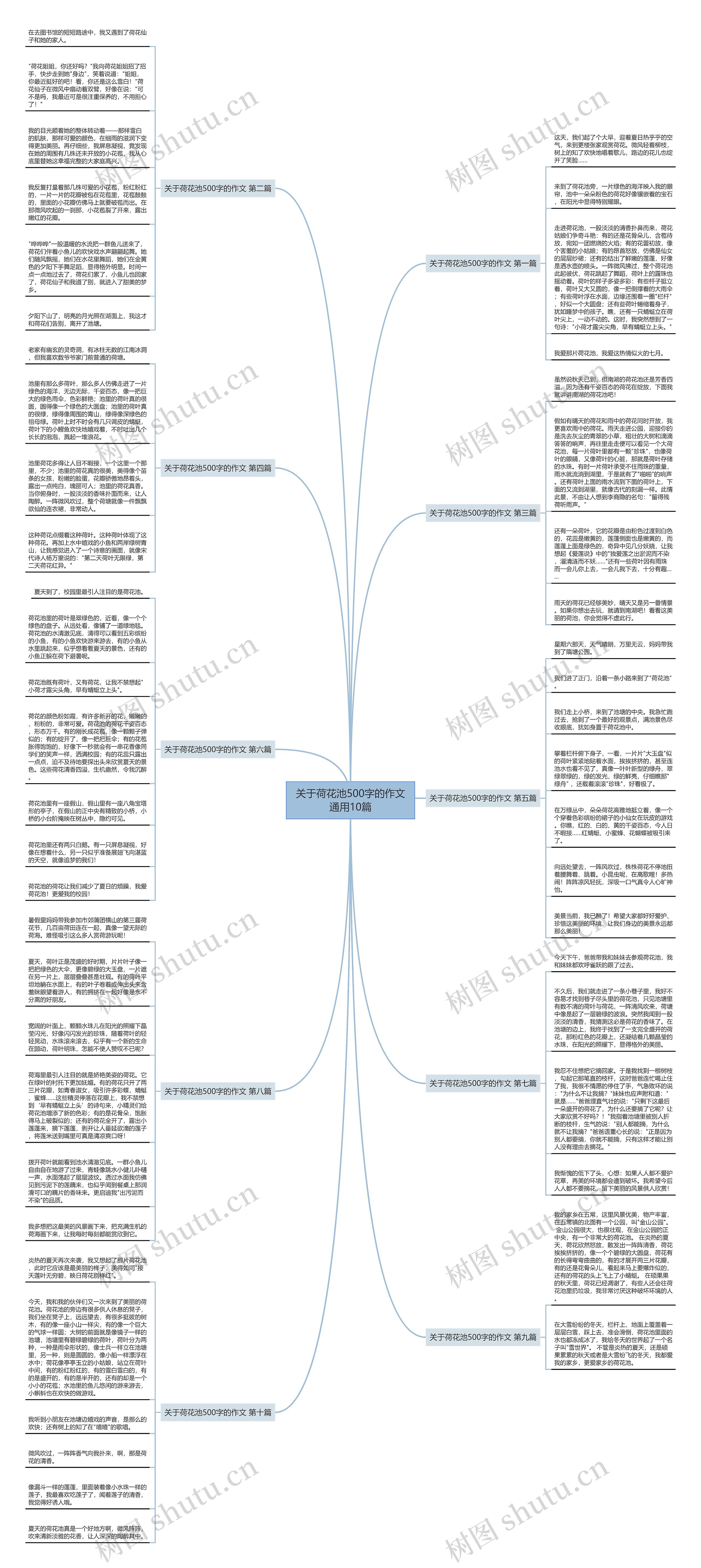 关于荷花池500字的作文通用10篇 关于荷花池500字的作文通用10篇